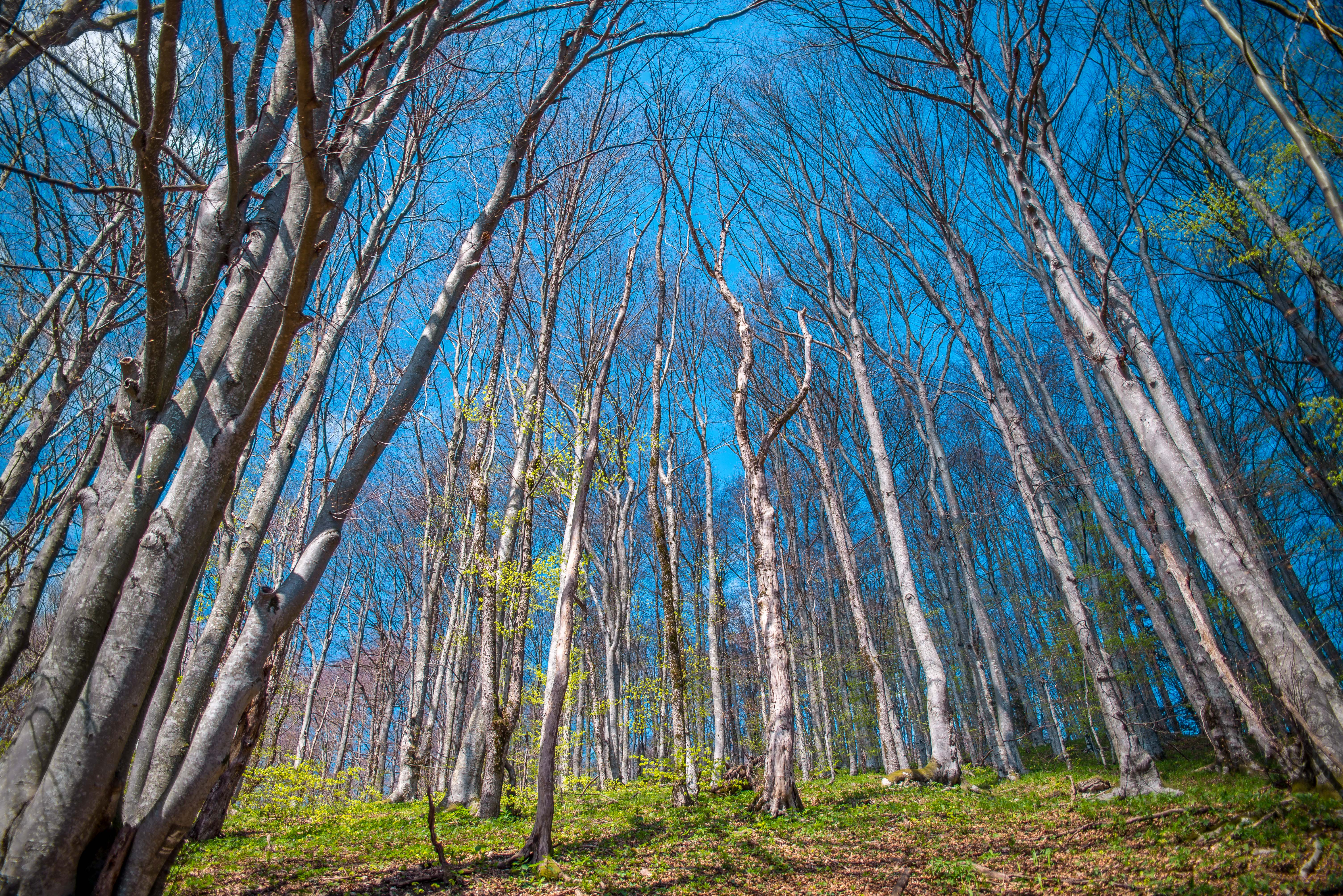 Plitvice national parc national Croatie blog voyage icietlabas