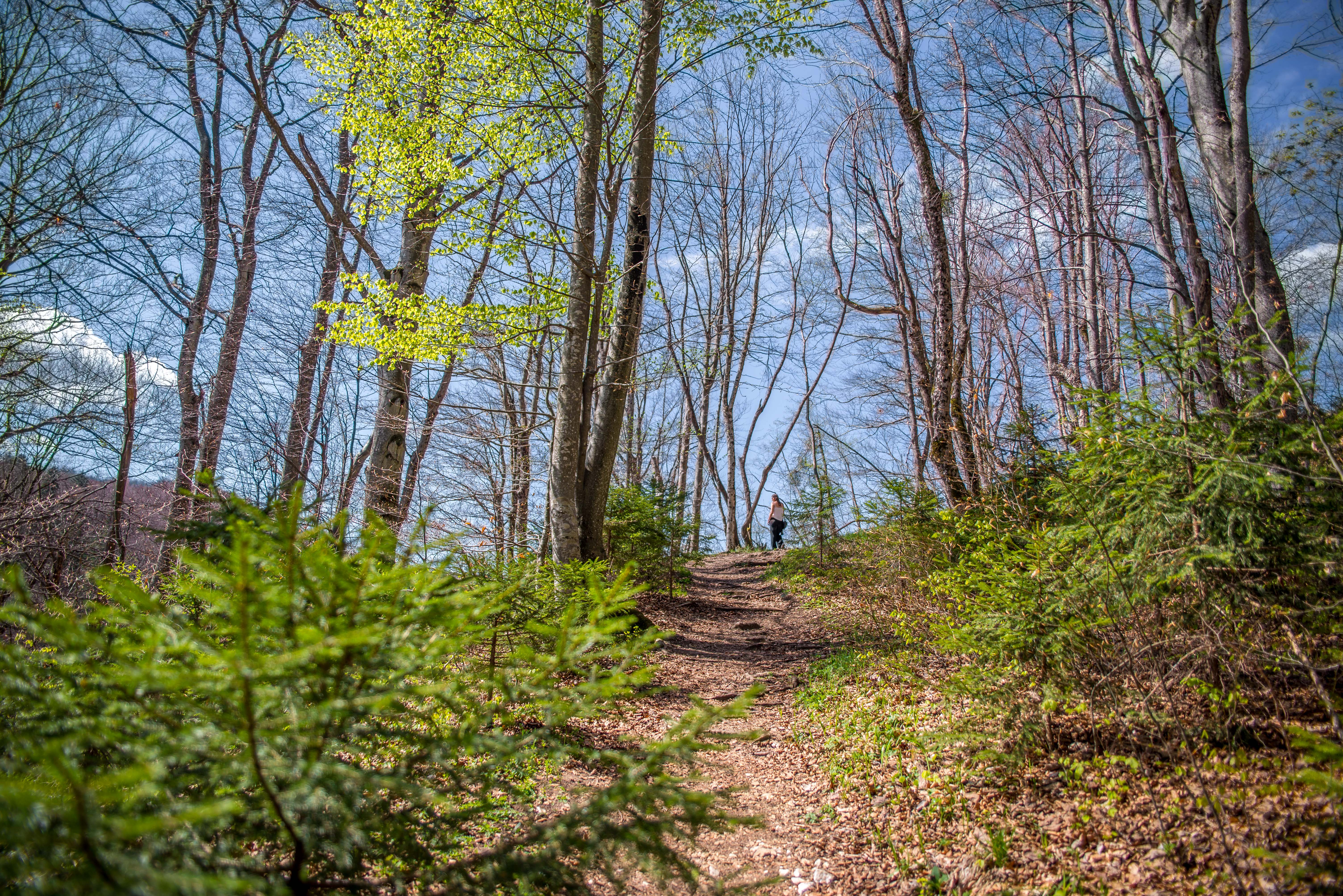 Plitvice national parc national Croatie blog voyage icietlabas