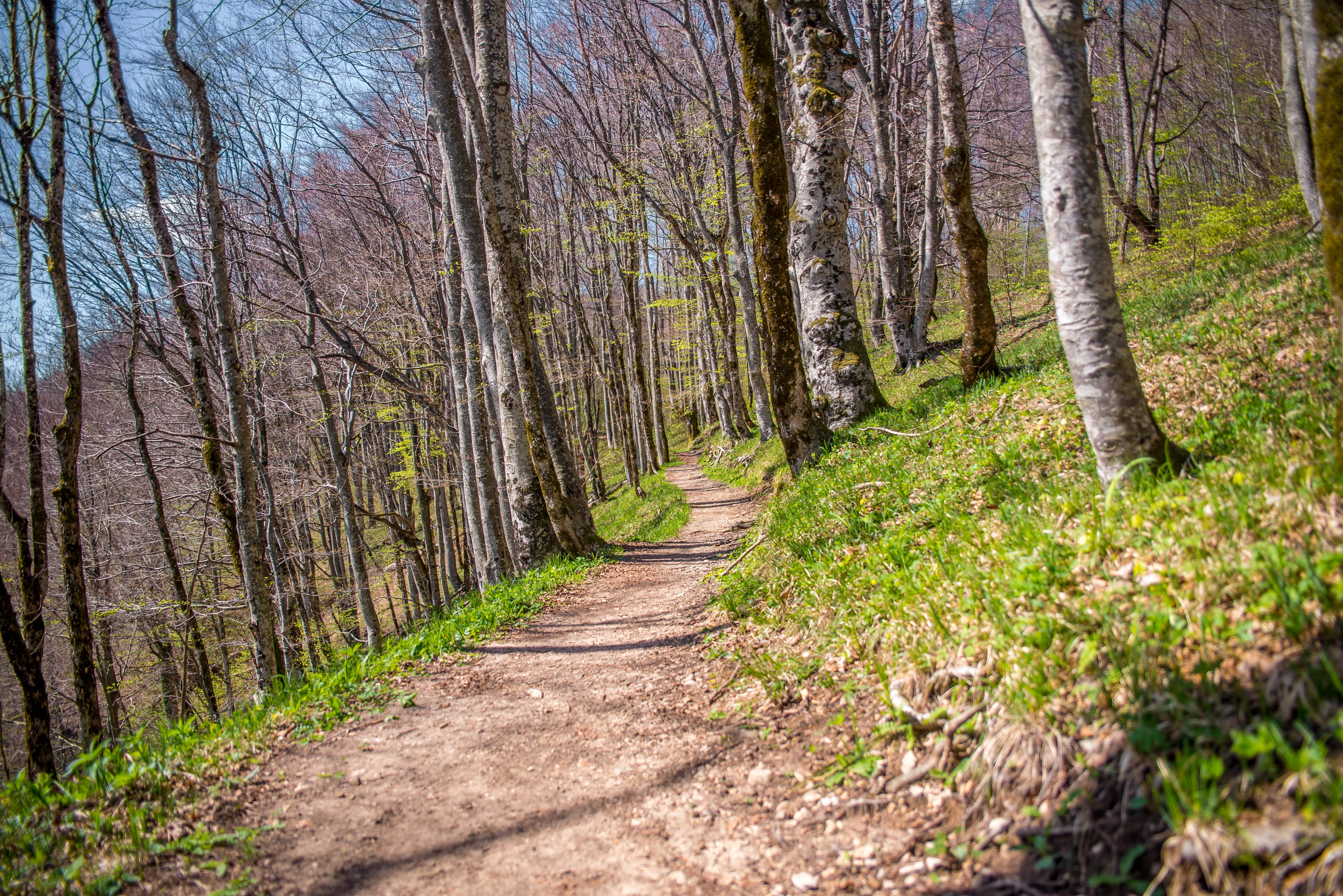 Plitvice national parc national Croatie blog voyage icietlabas