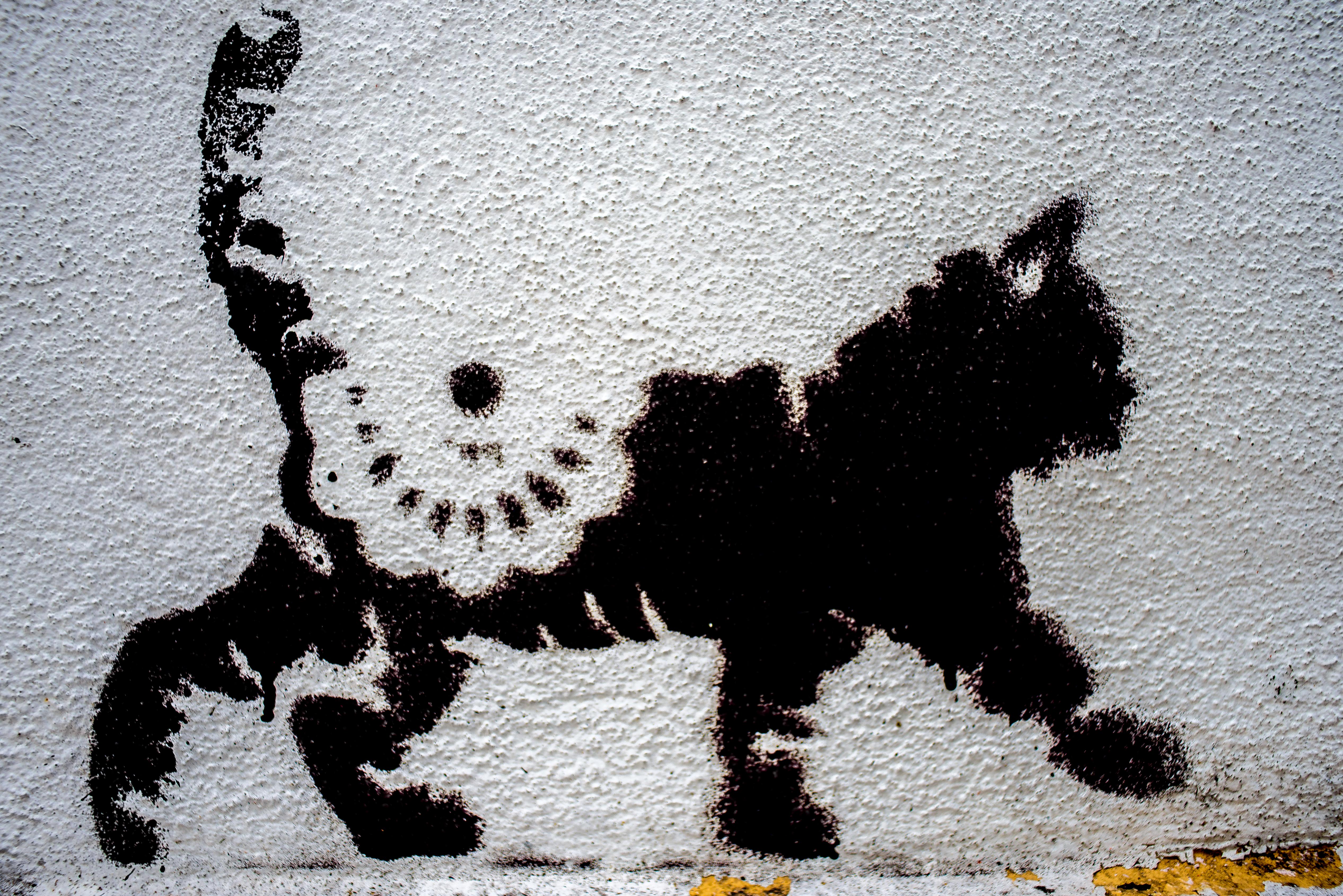 Street art à Georgetown Penang Malaisie Asie blogvoyage Icietlabas 101 Lost Kittens - Les 101 Chatons Perdus
