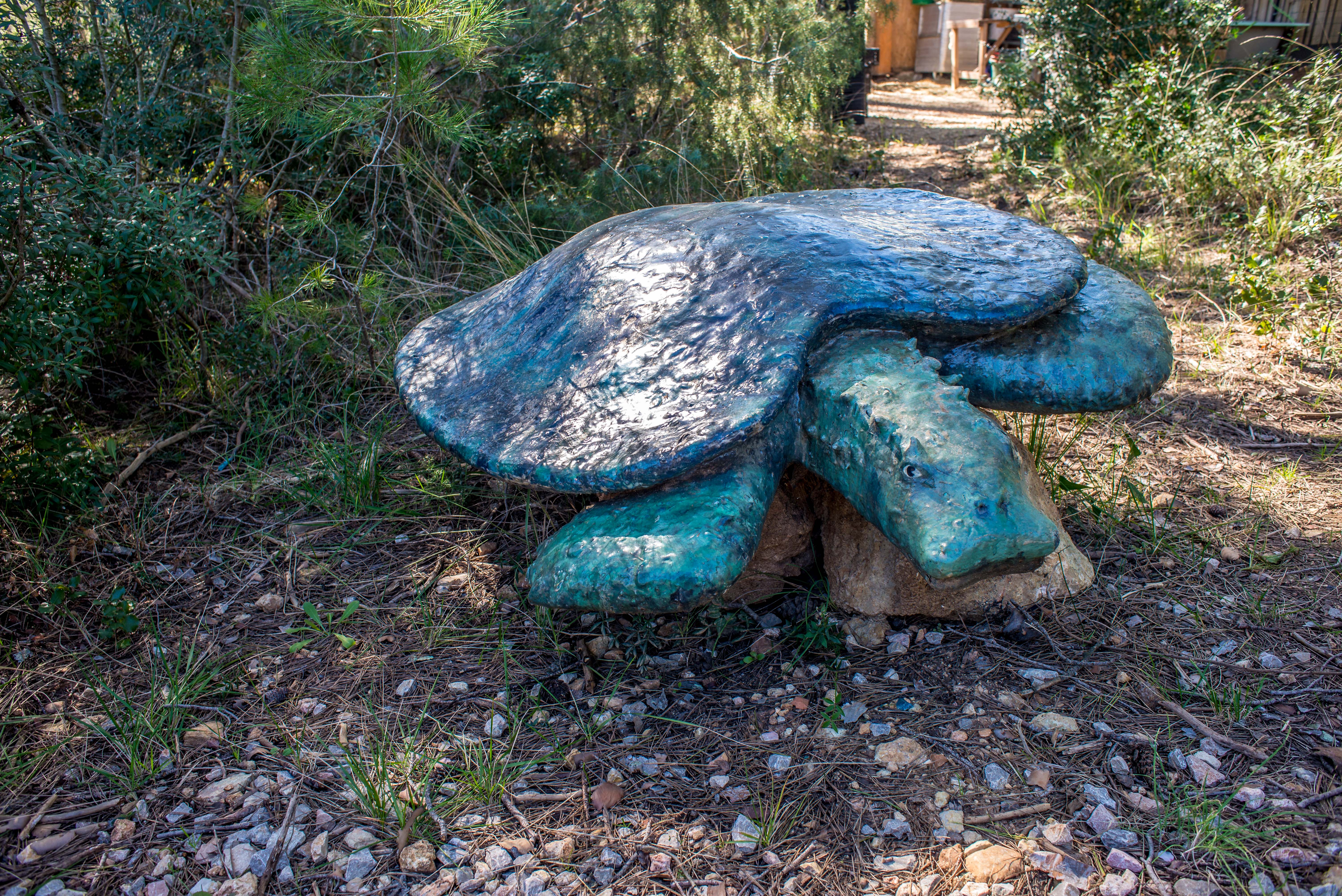 Tortues Village des Tortues Carnoules Paca Icietlabas Blog