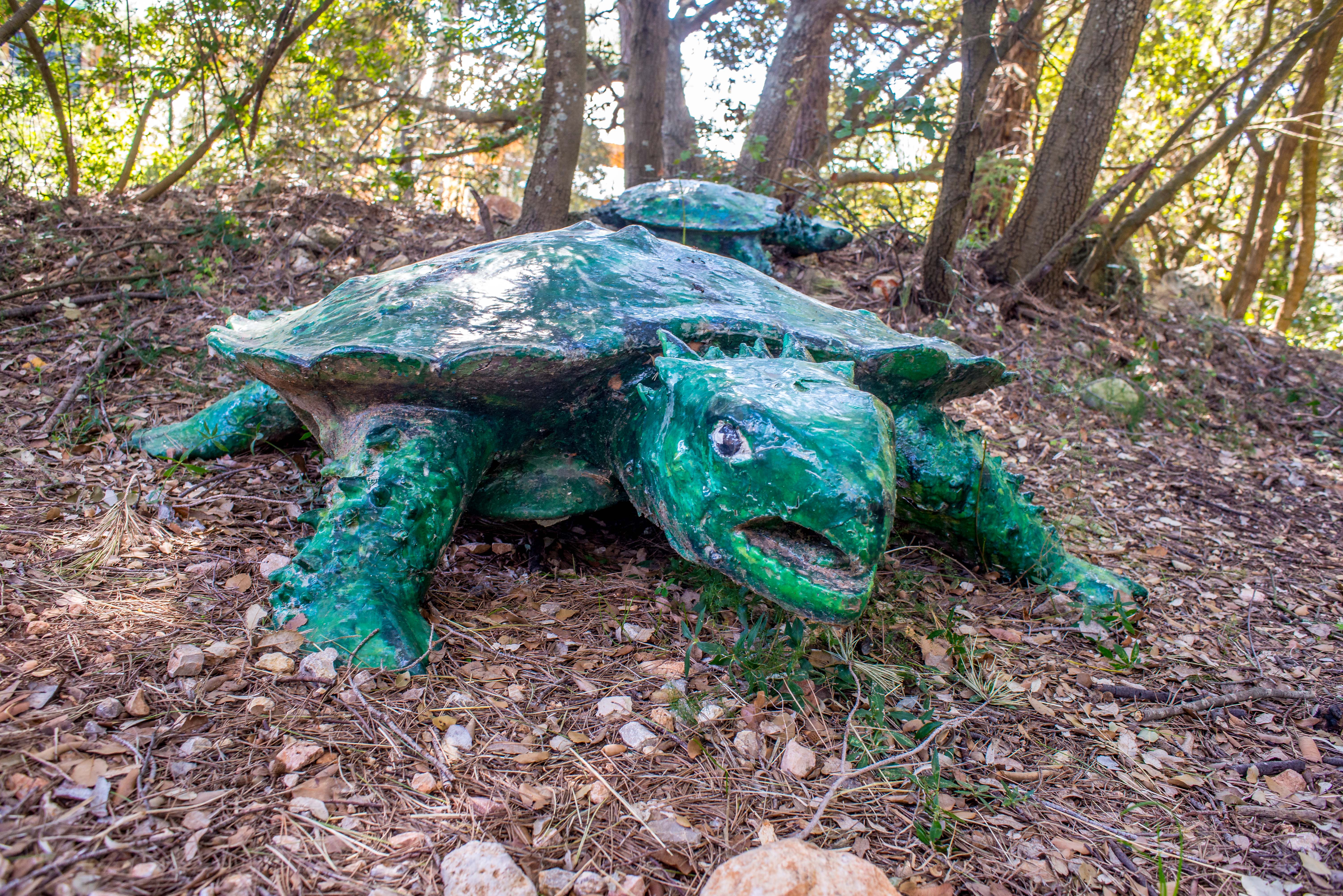 Tortues Village des Tortues Carnoules Paca Icietlabas Blog