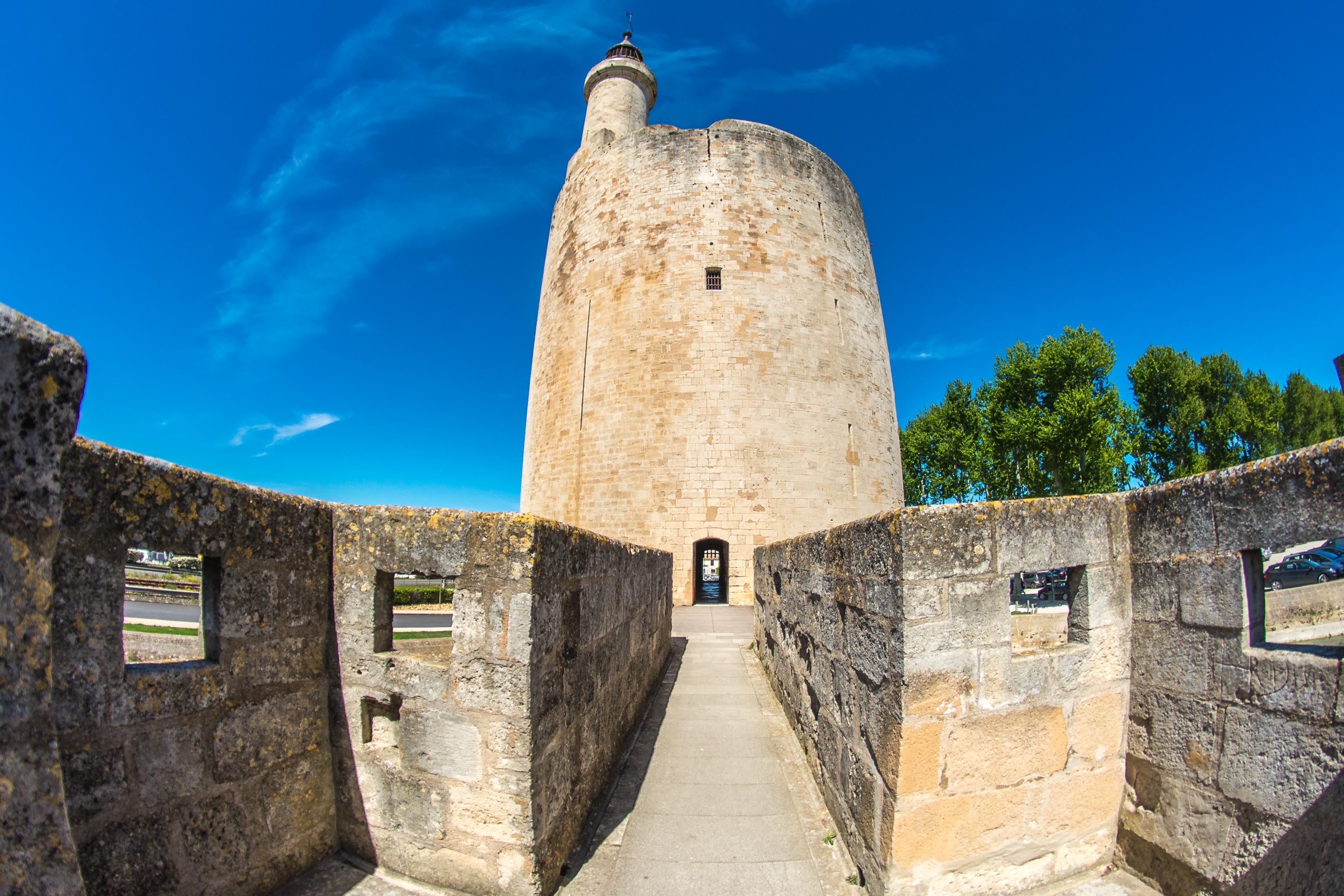 Aigues-Mortes blog de voyages Parc Ornithologique Camargue Provence blog voyage icietlabas