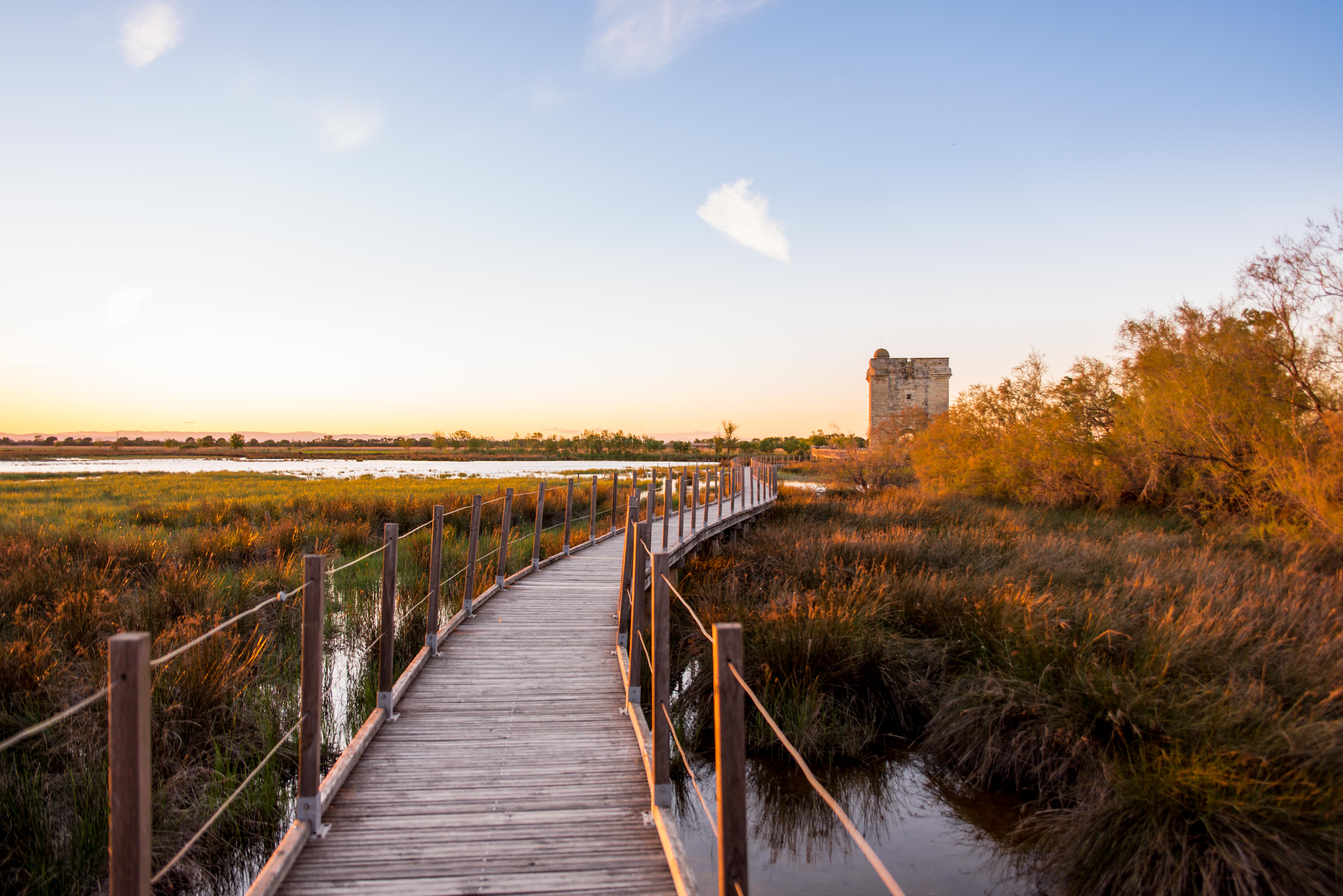Aigues-Mortres Parc Ornithologique Camargue Provence blog voyage icietlabas