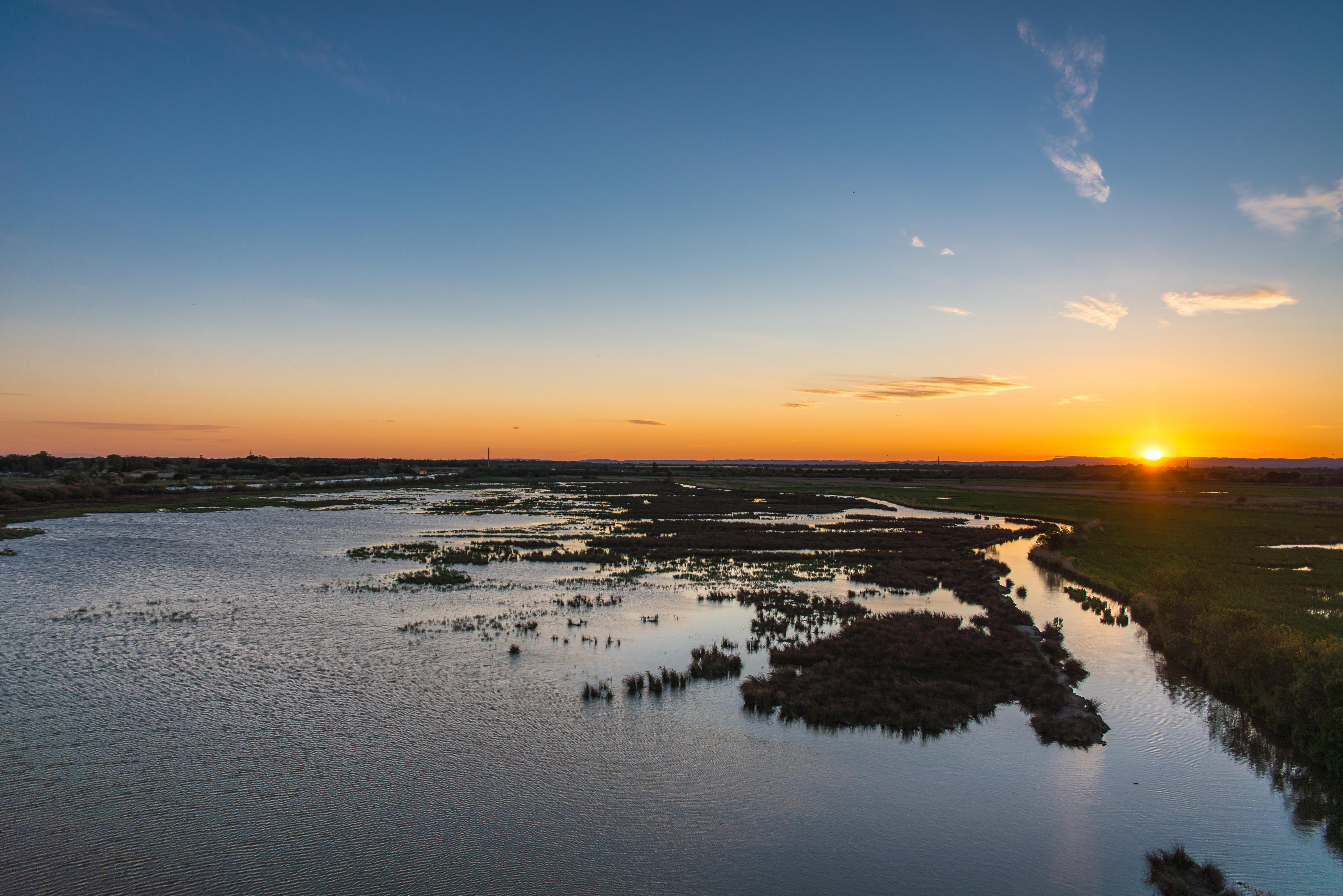 Aigues-Mortres Parc Ornithologique Camargue Provence blog voyage icietlabas