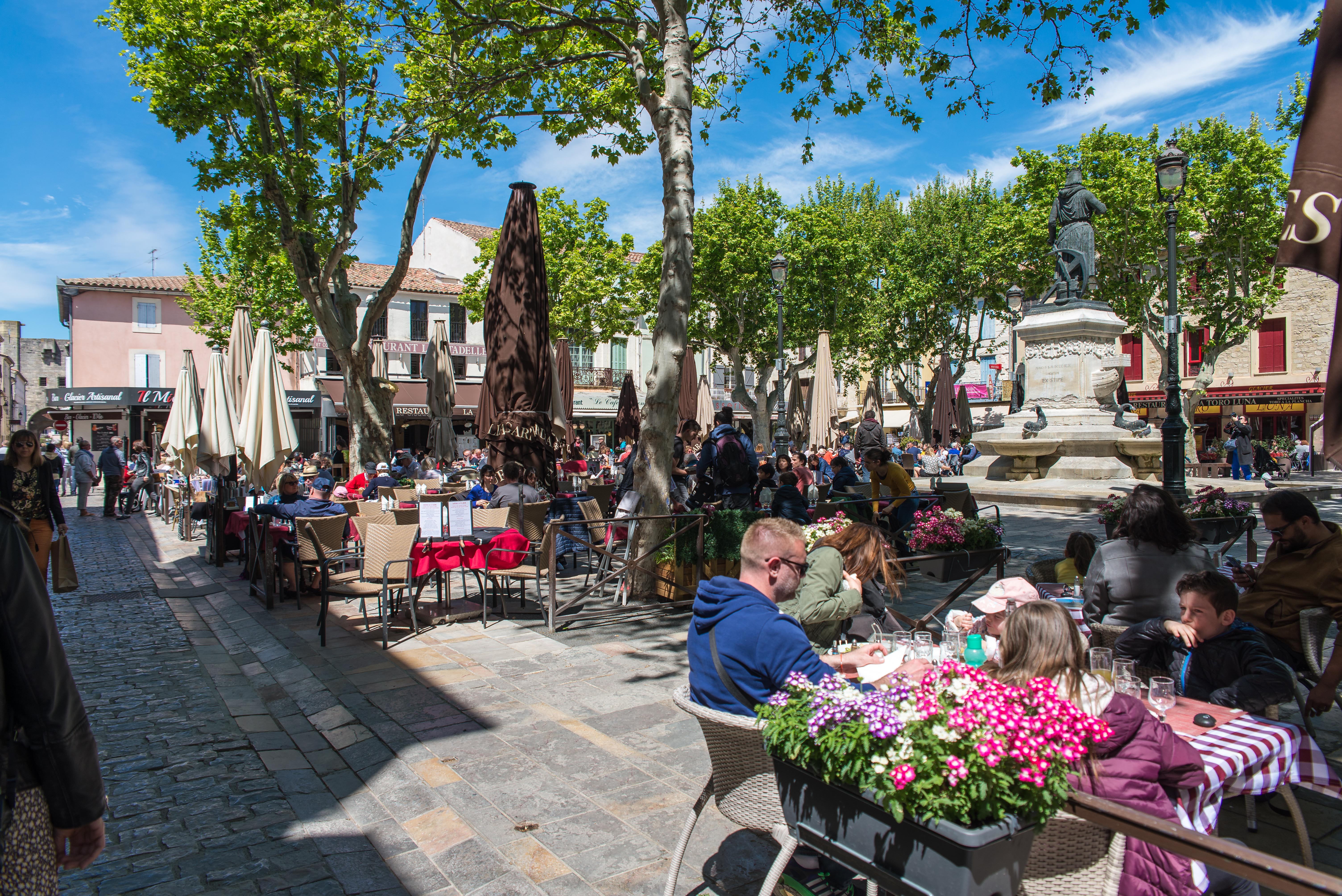 Aigues-Mortes blog de voyages Parc Ornithologique Camargue Provence blog voyage icietlabas