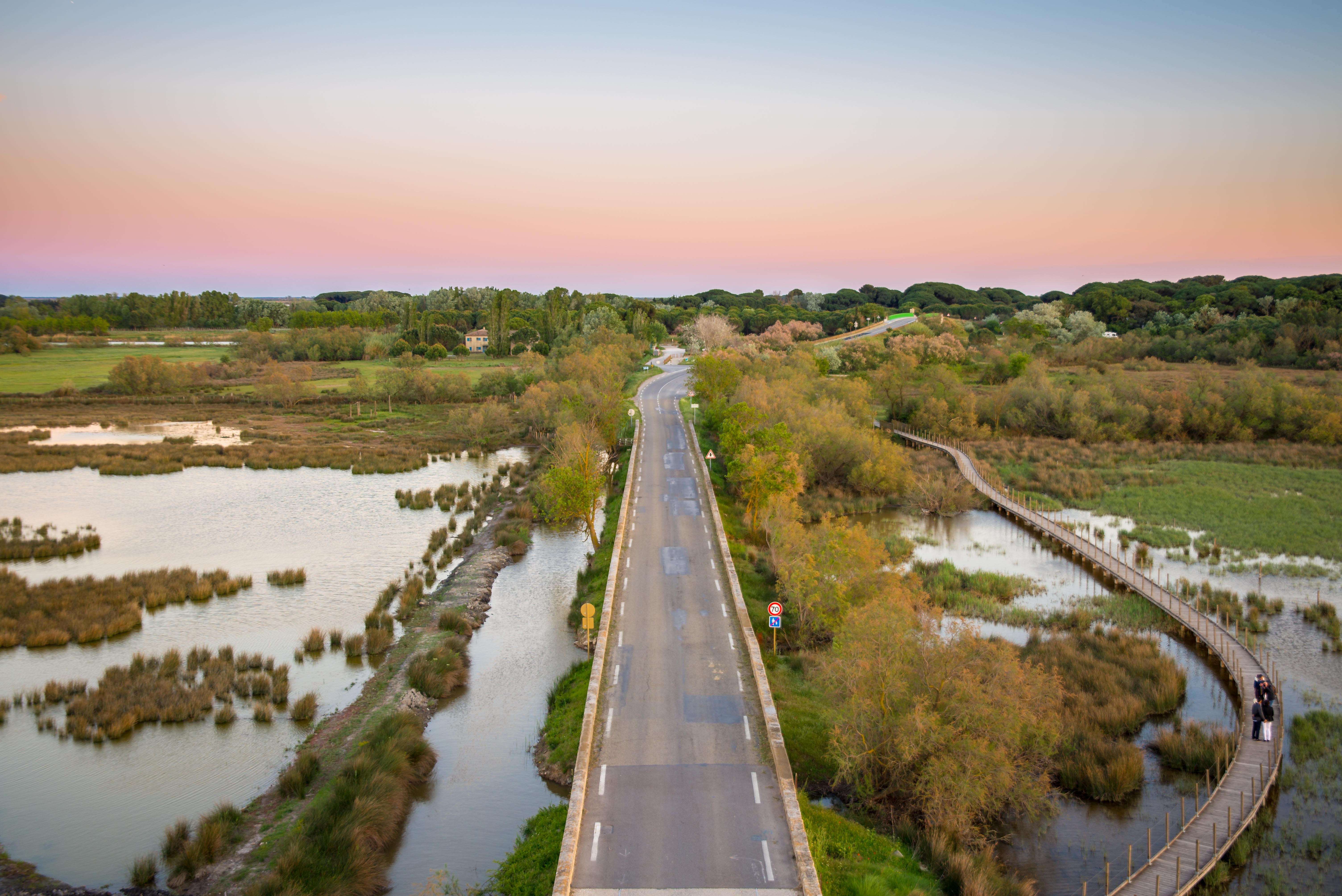 Aigues-Mortes blog de voyages Parc Ornithologique Camargue Provence blog voyage icietlabas
