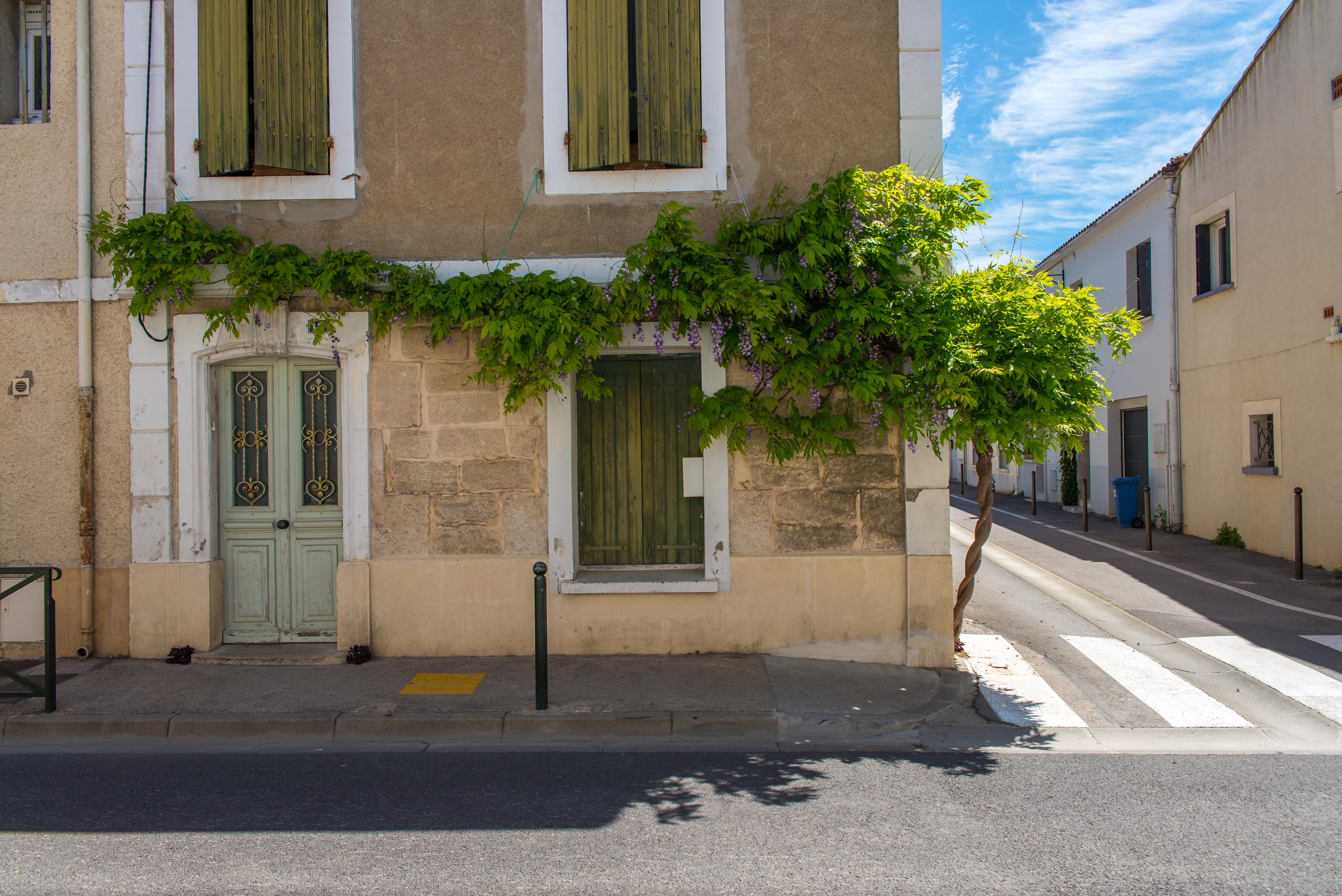 Aigues-Mortes blog de voyages Parc Ornithologique Camargue Provence blog voyage icietlabas