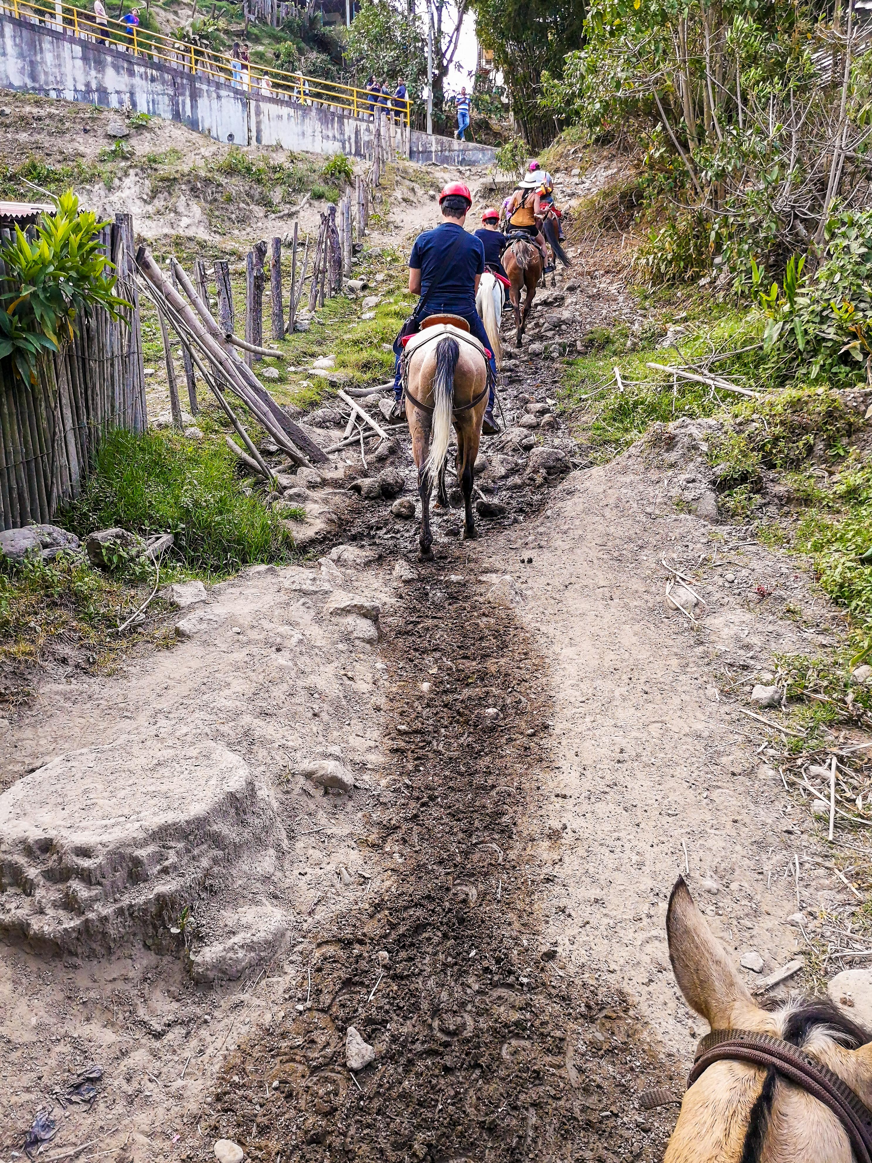 Balade à Cheval en Colombie Blog de Voyage