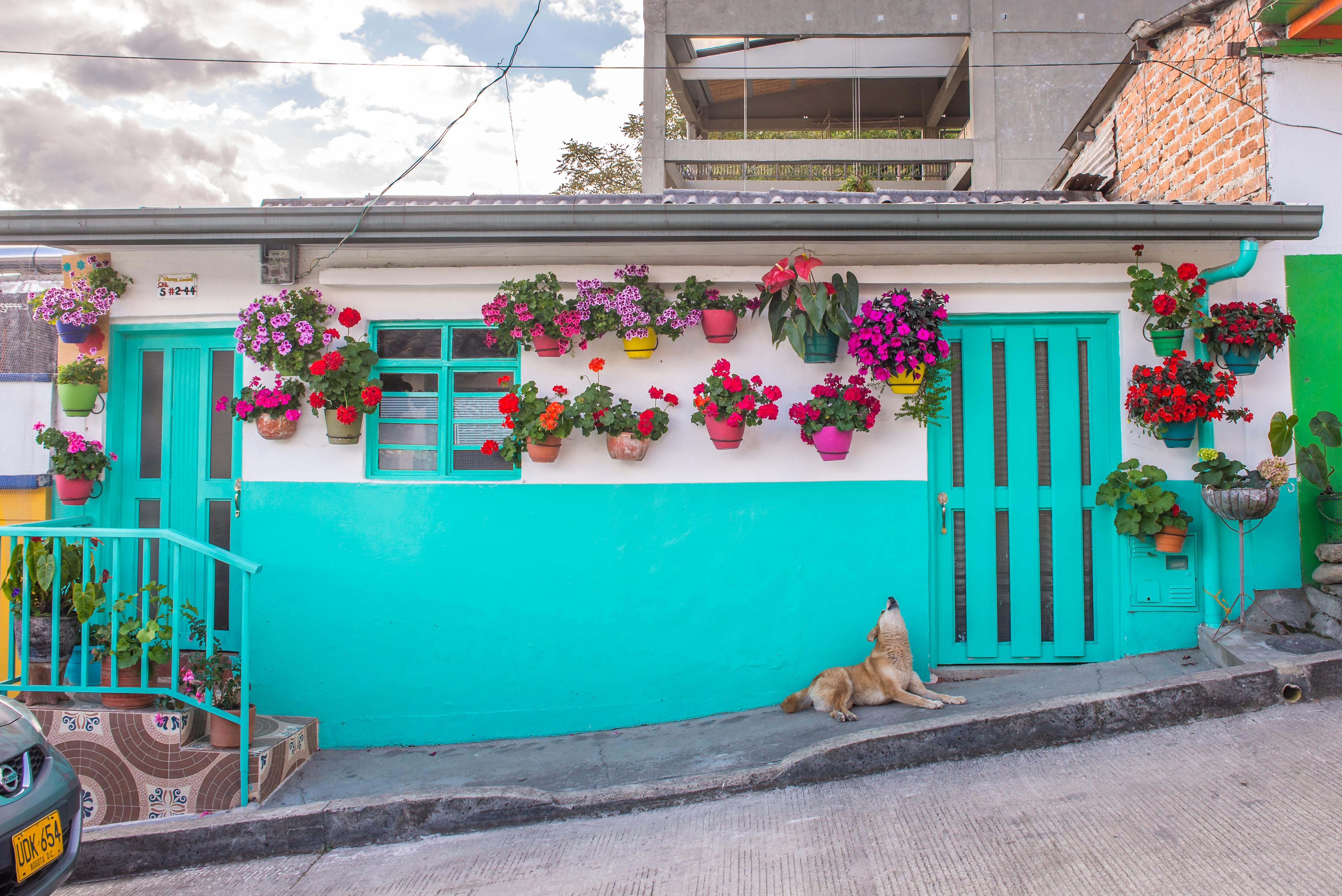Salento Village Colombie Quindío Blog Voyage