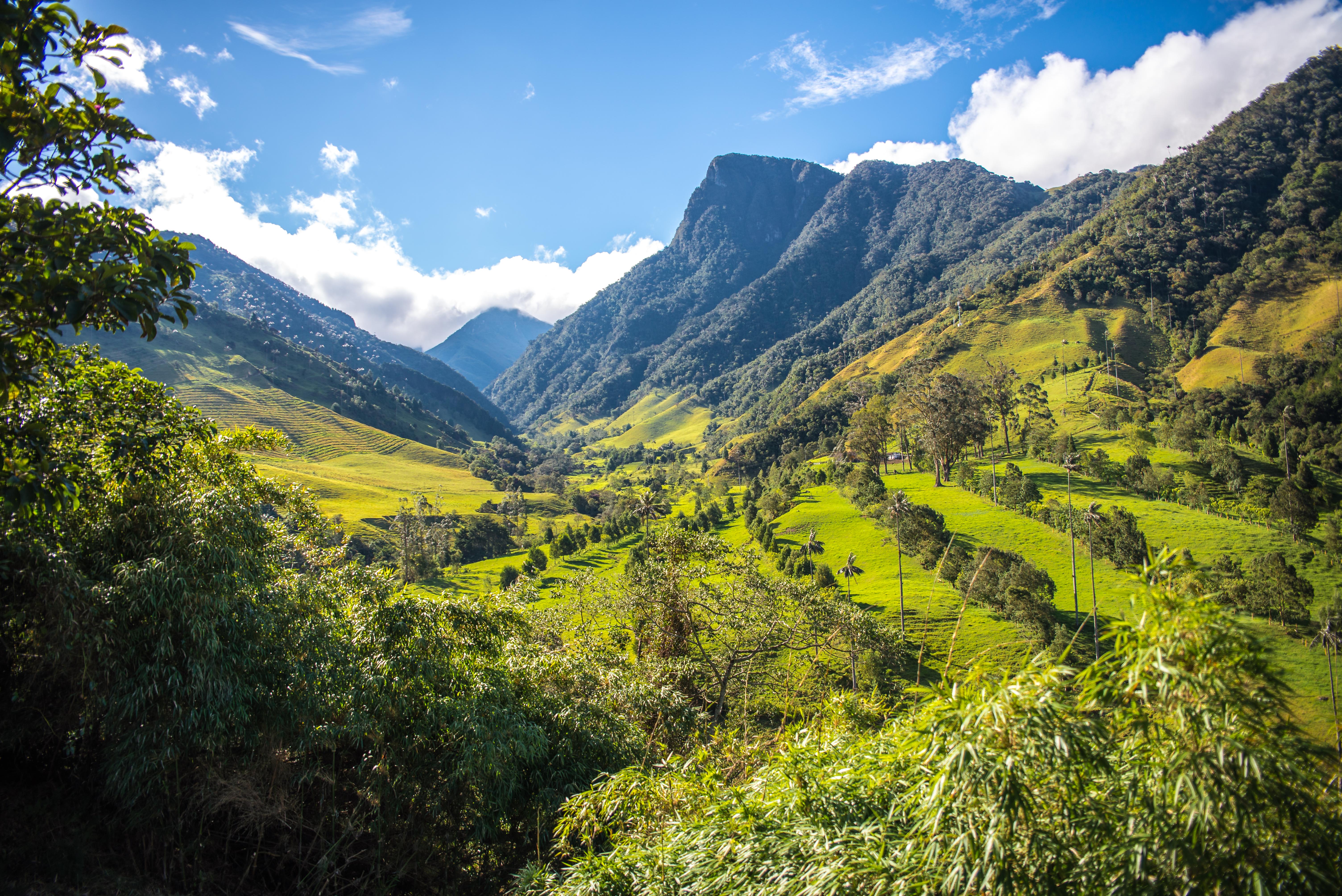 Vallée de la Cocora Quindo Colombie Blog Voyage