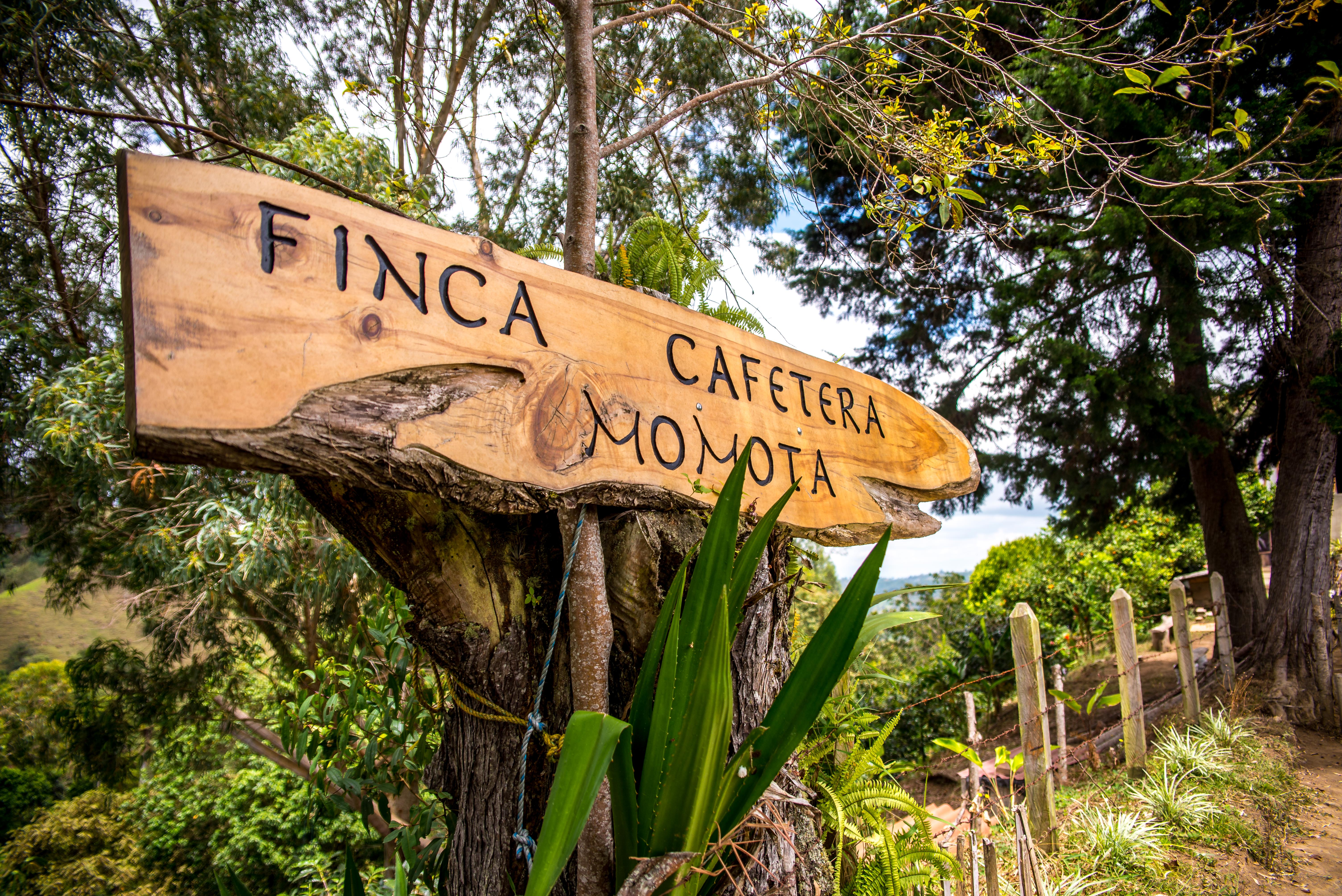 Visiter d'une Finca de Café en Colombie Blog Voyage