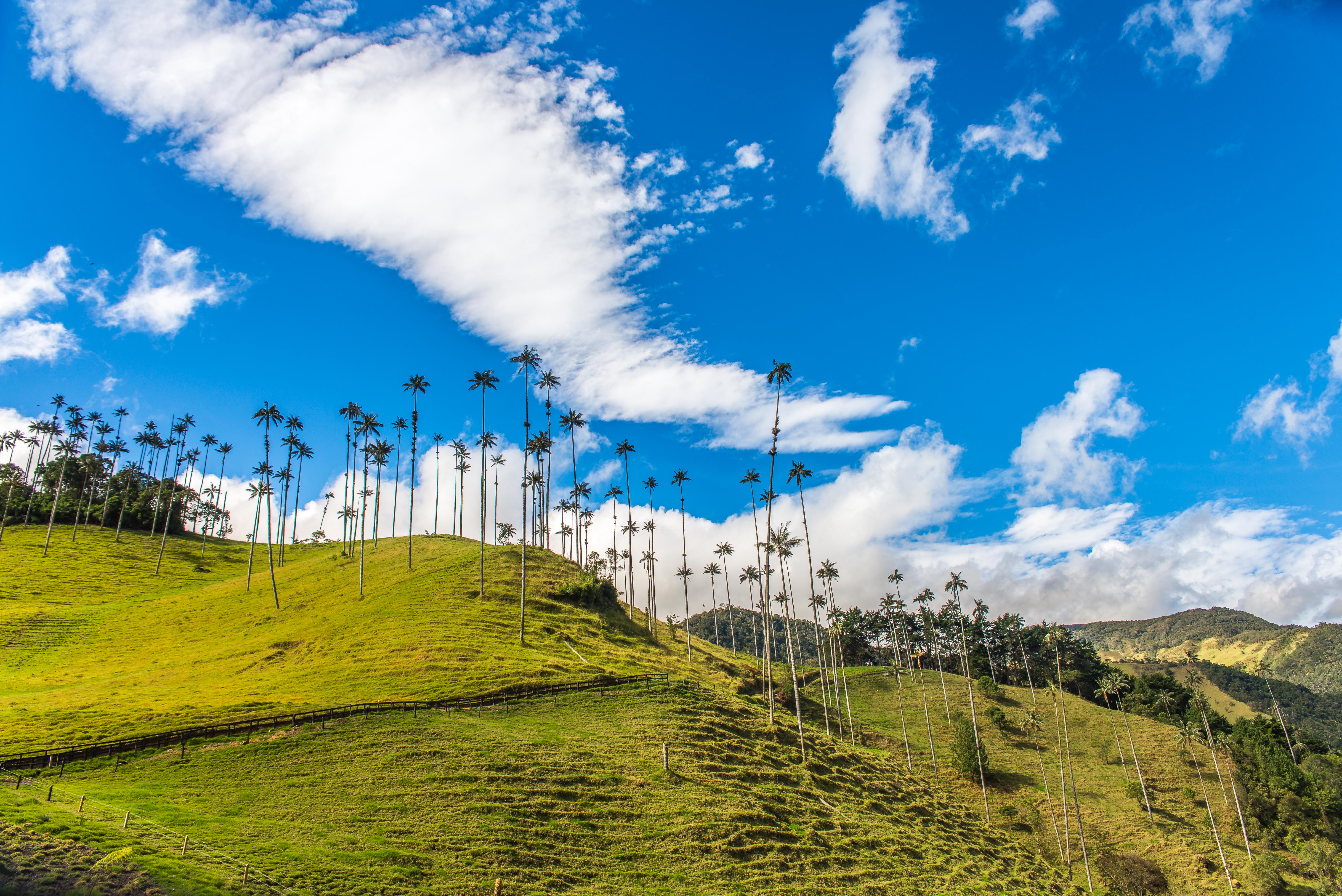 Vallée de la Cocora Salento Colombie Blog Voyage