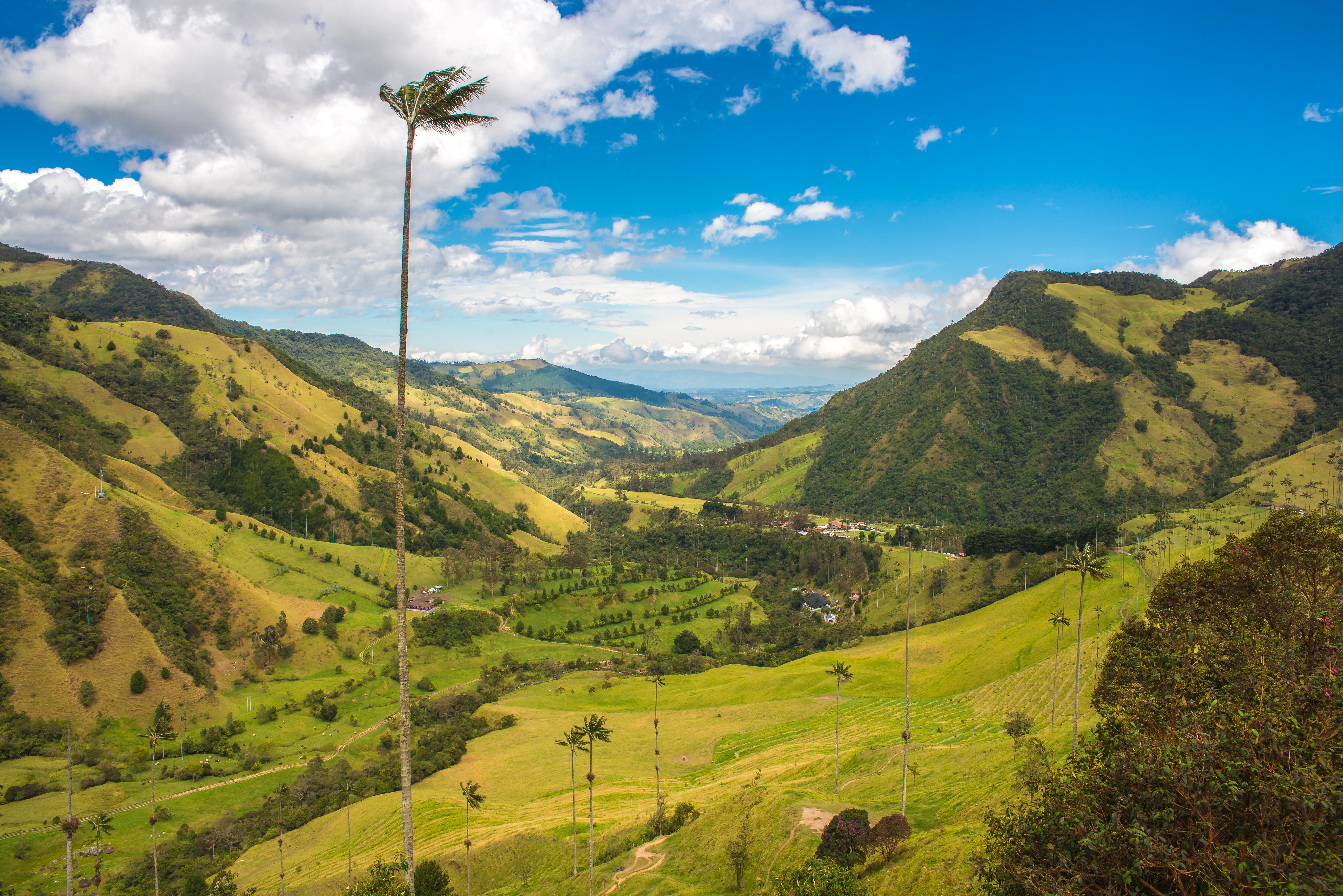 Vallée de la Cocora Salento Colombie Blog Voyage