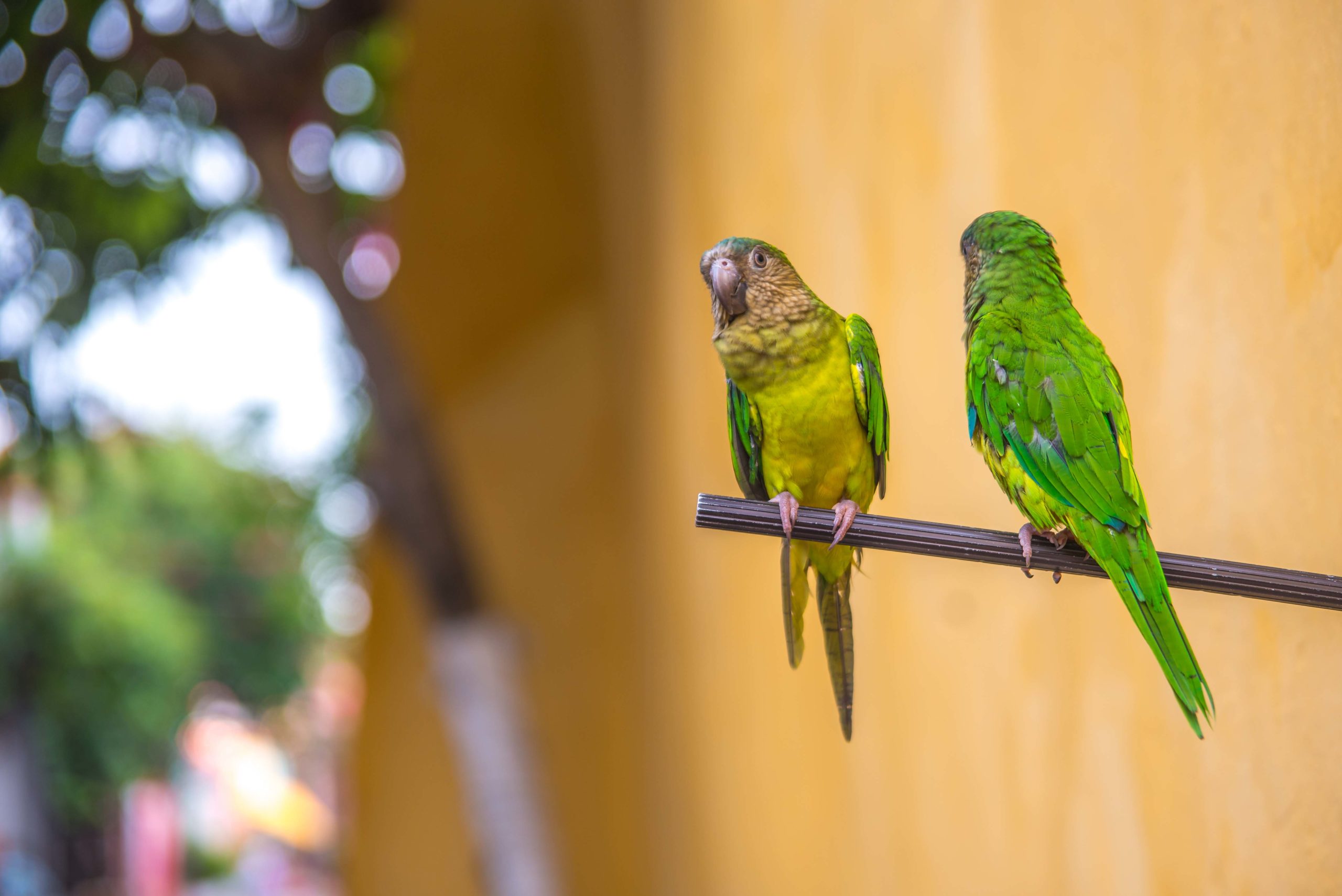 Barrio Getsemani Trois Semaines en Colombie Blog Voyage