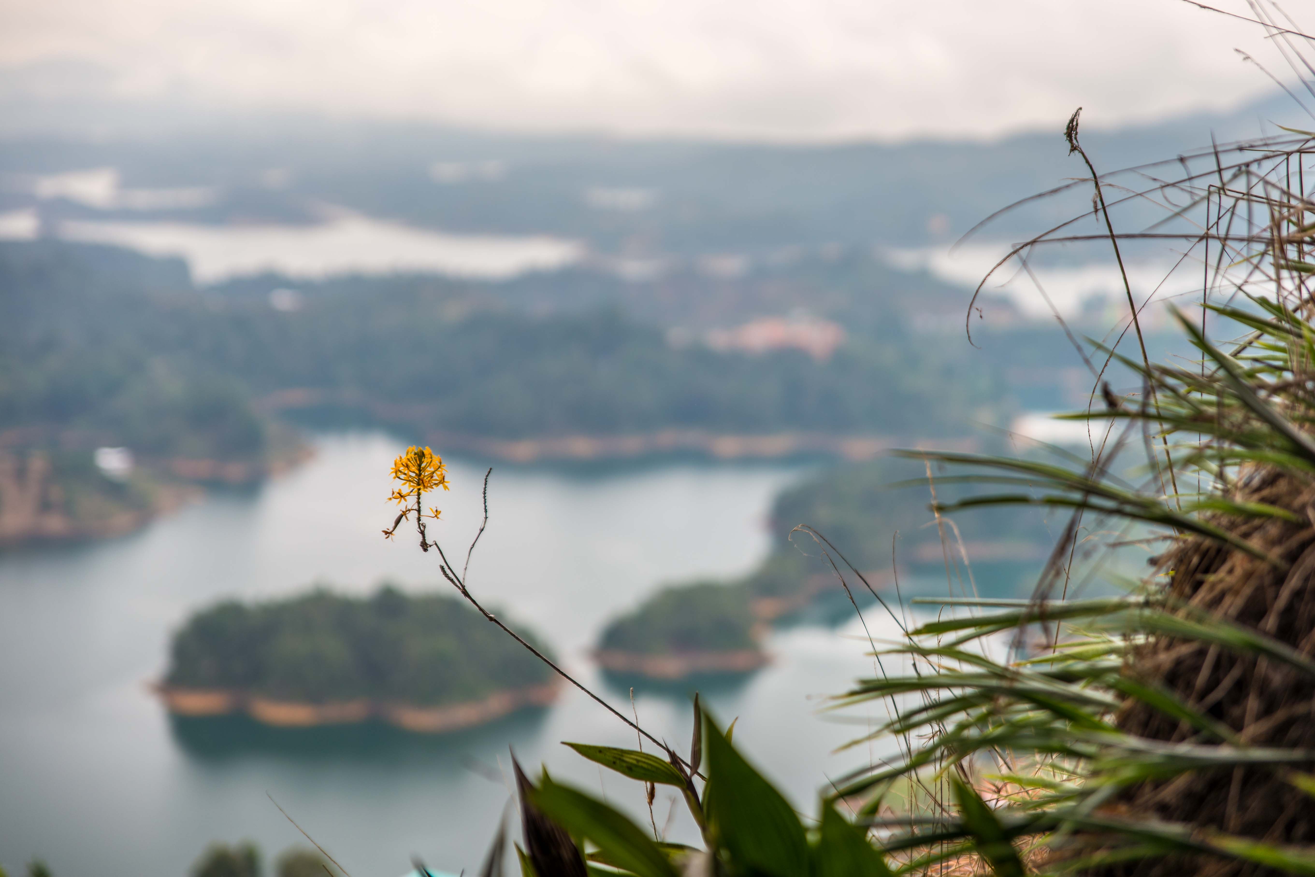 Colombie Piedra del Peñol blog voyage