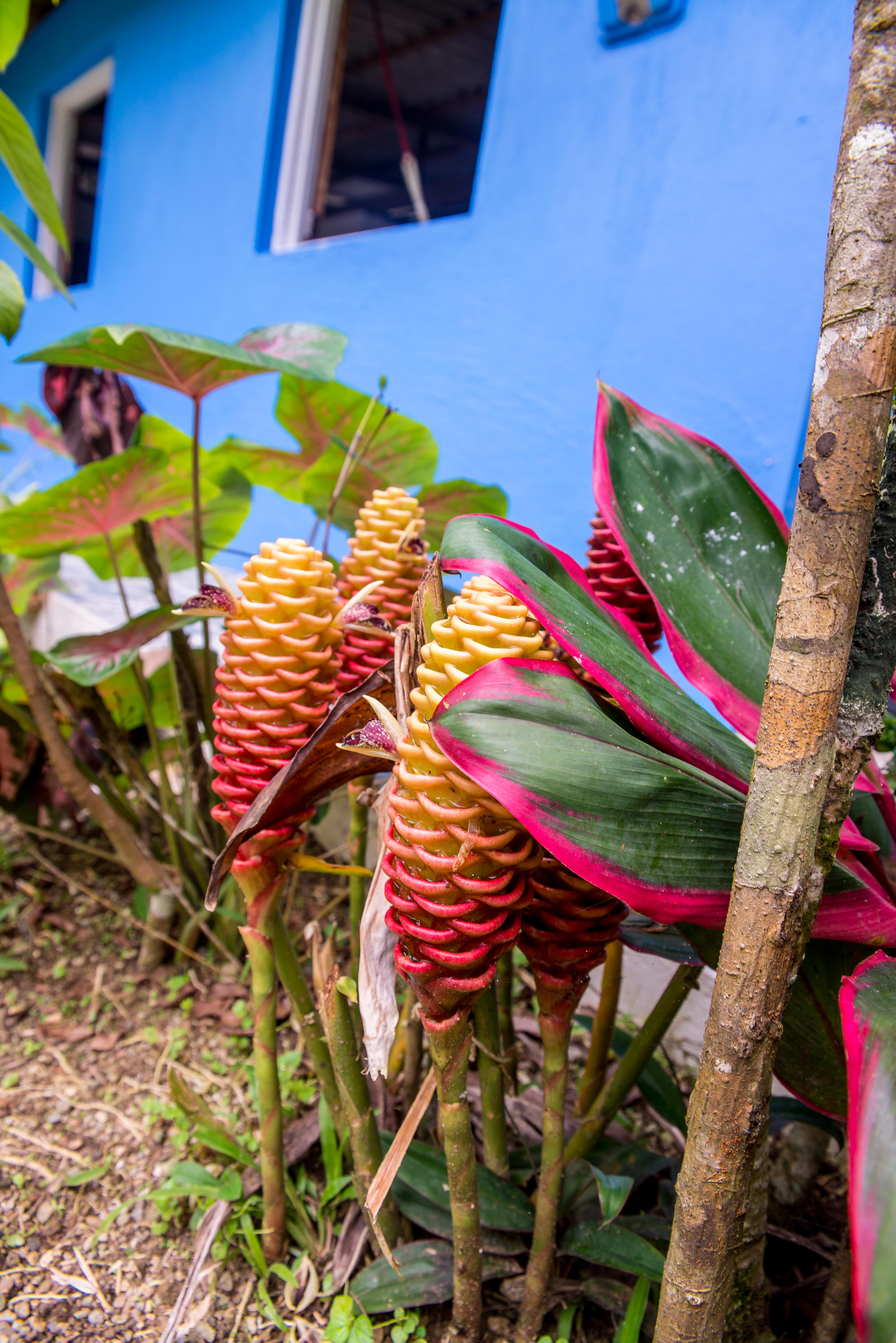 Bahia Solano Colombie Region Choco Blog Voyage