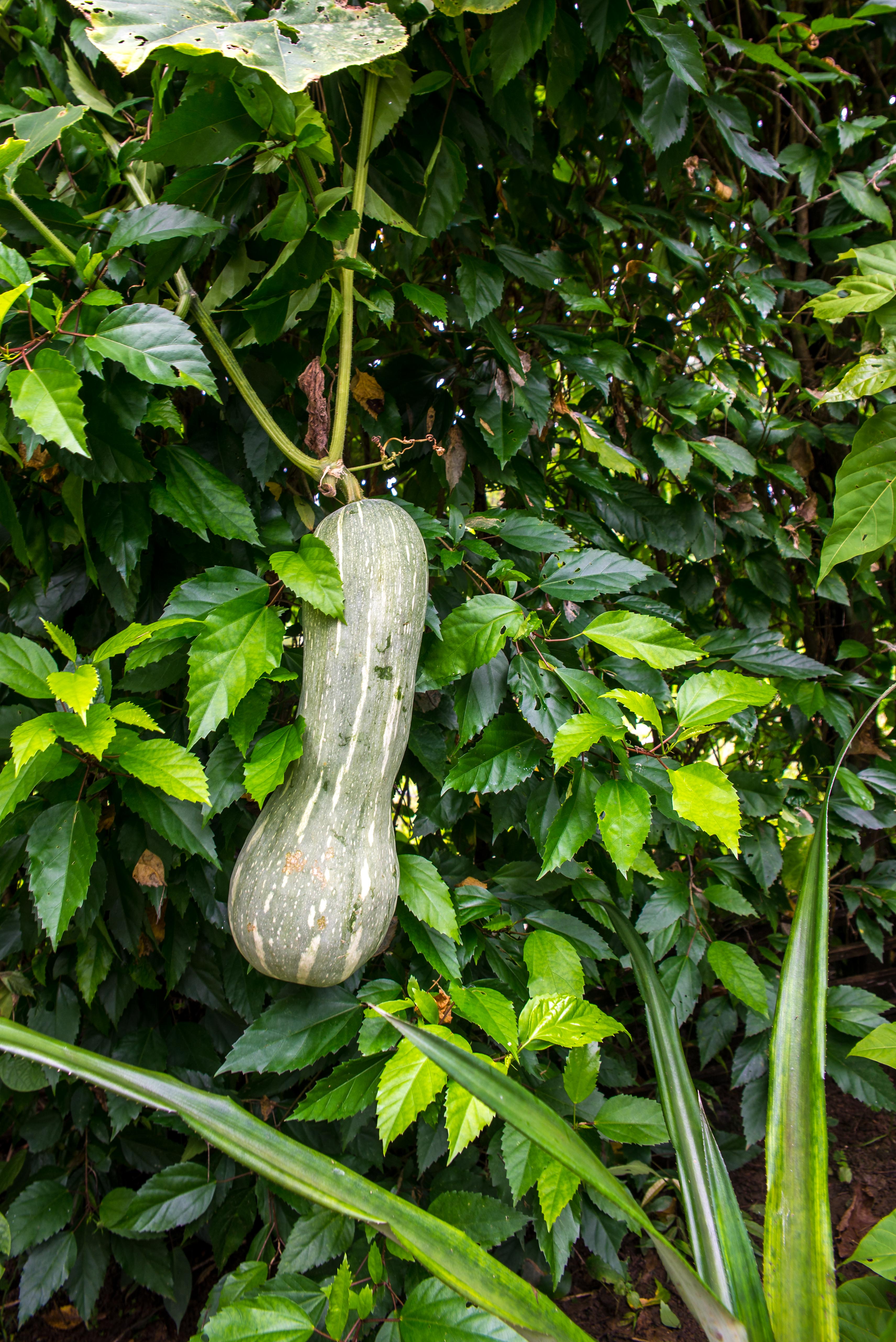 Bahia Solano Colombie Region Choco Blog Voyage