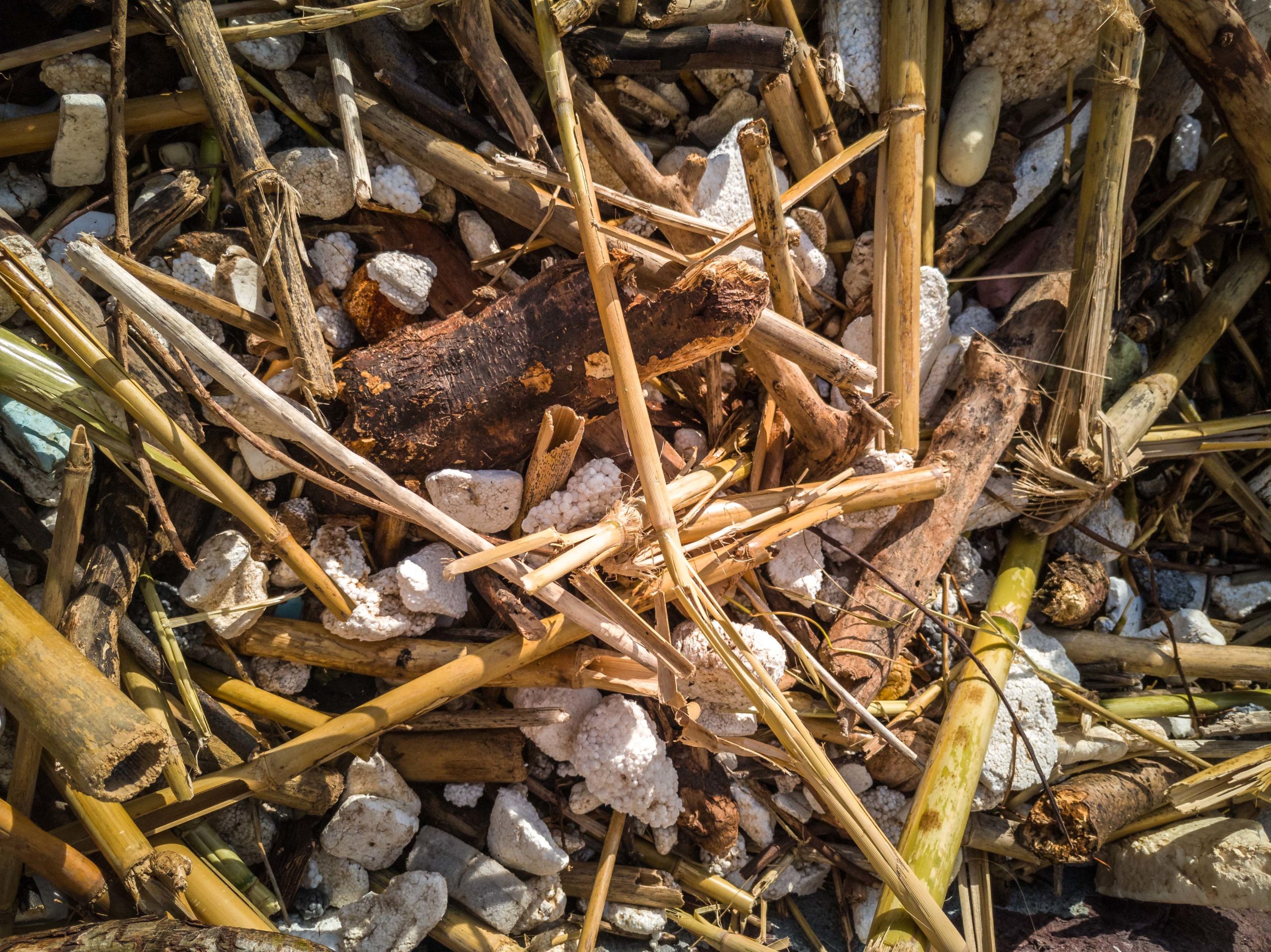 Opération plages propres Cannes Cannes la Bocca Blog Voyage Zéro Déchets
