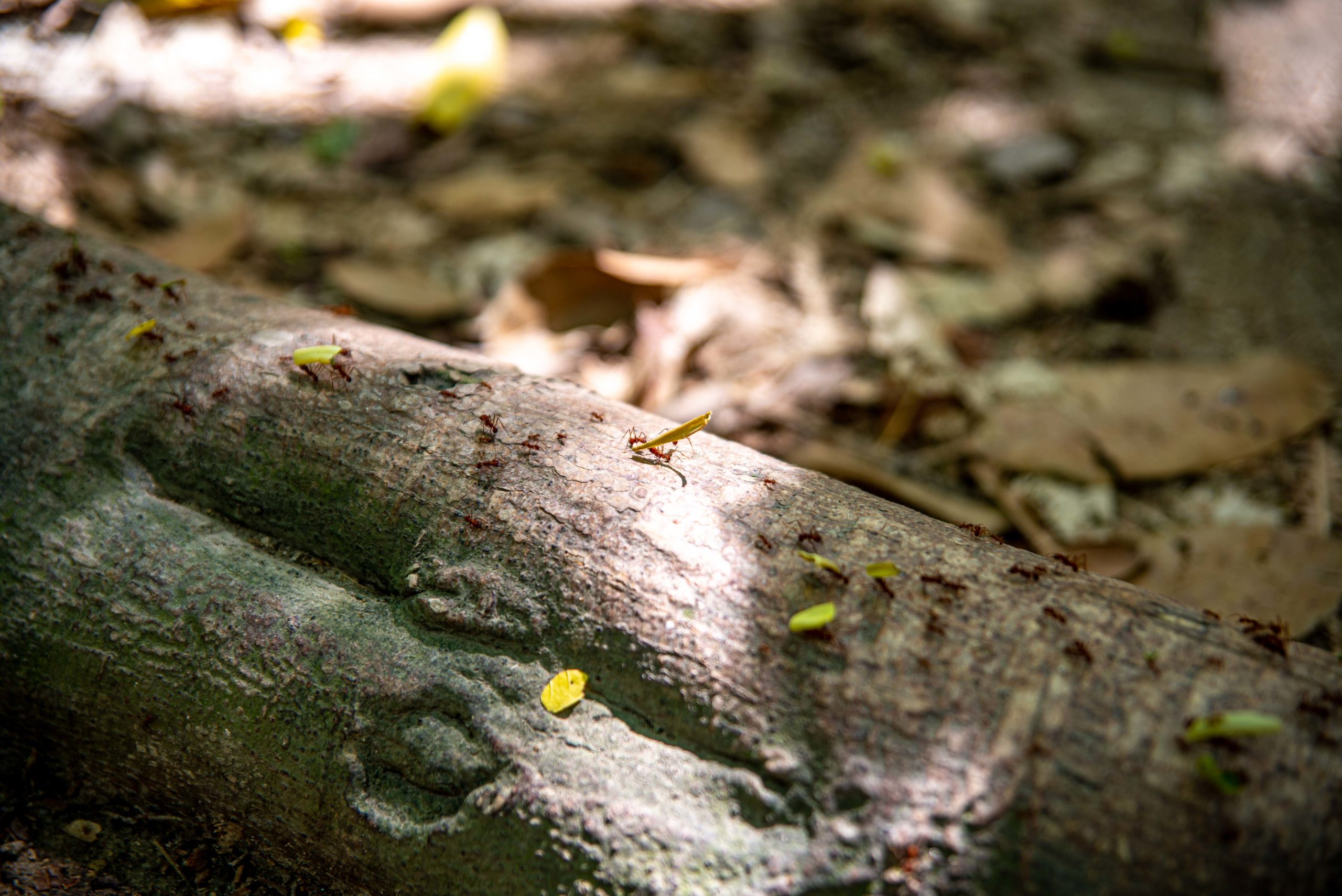 trois semaines en colombie blog voyage