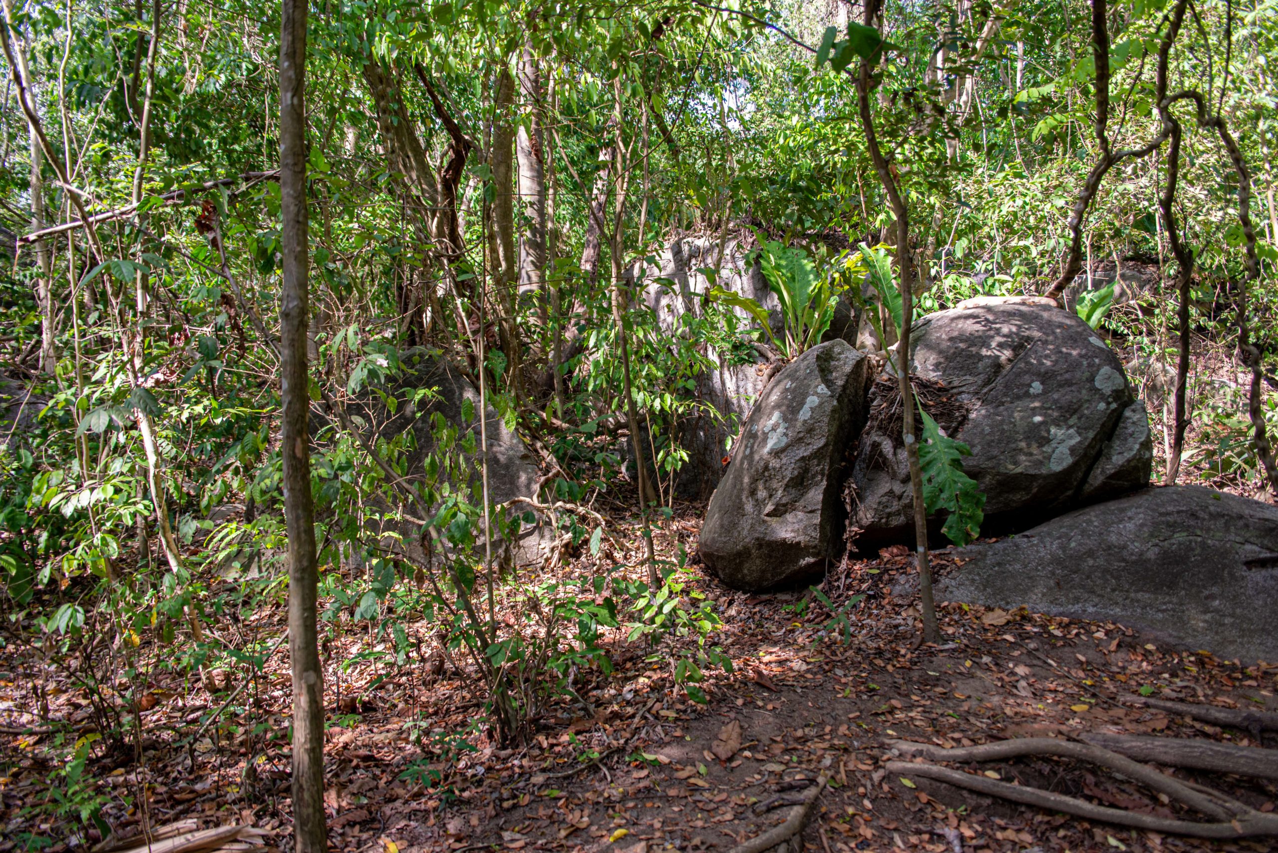 Tayrona National Parc Trois semaine en Colombie Blog Voyage-11