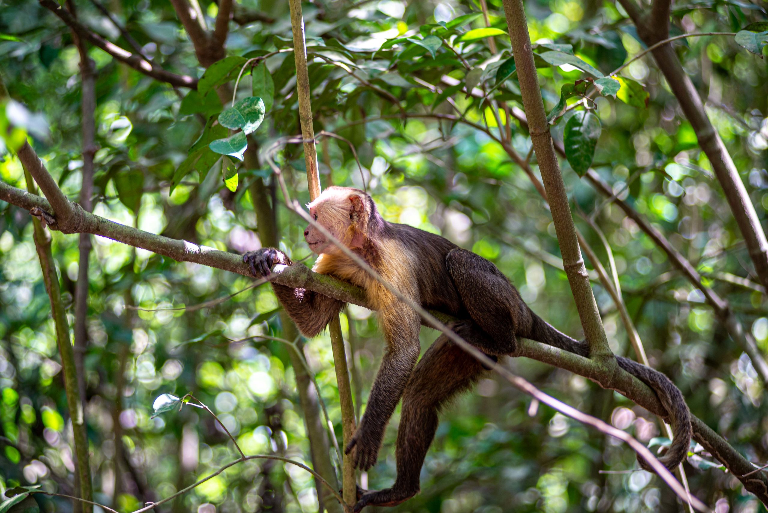 trois semaines en colombie blog voyage