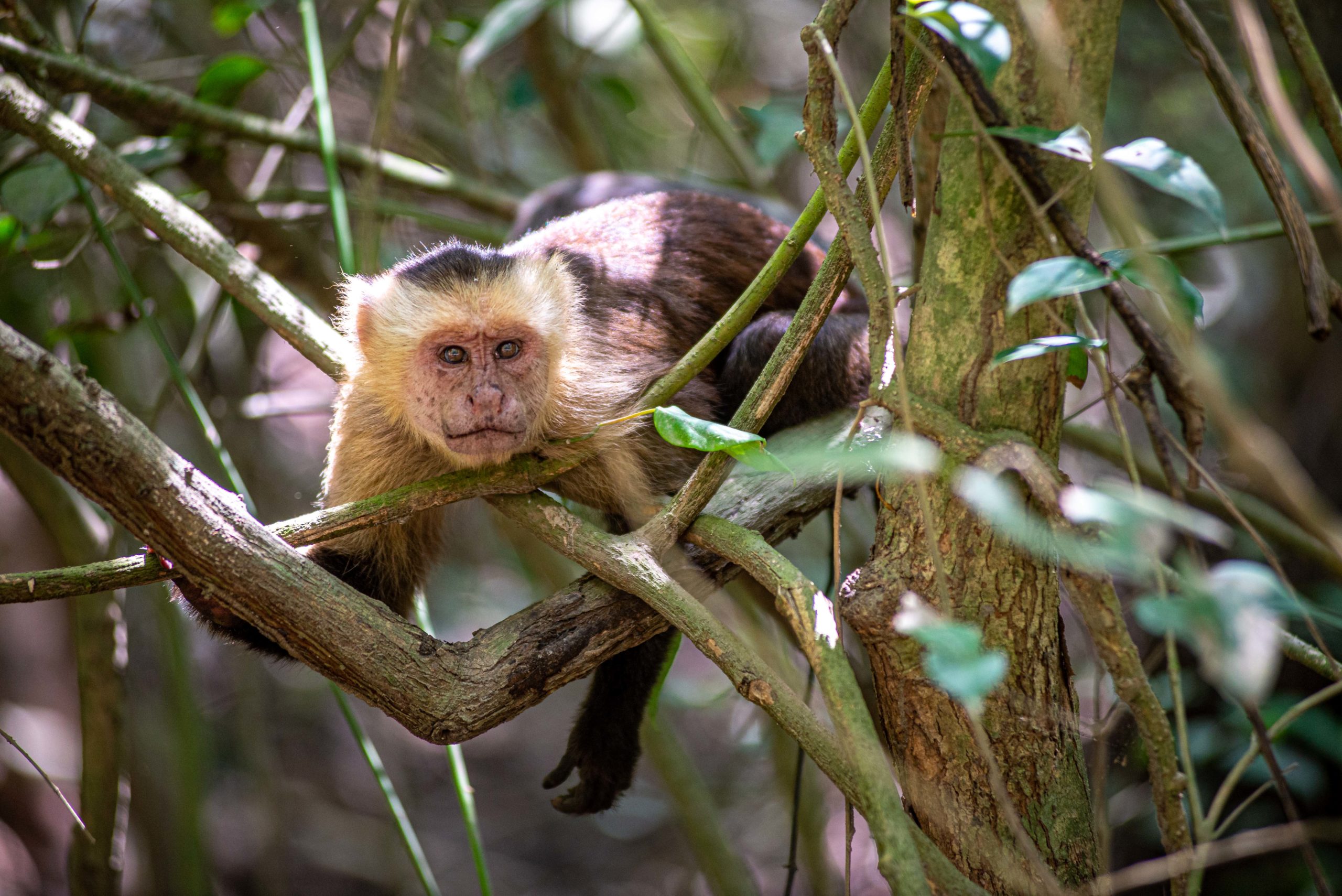 trois semaines en Colombie blog voyage 