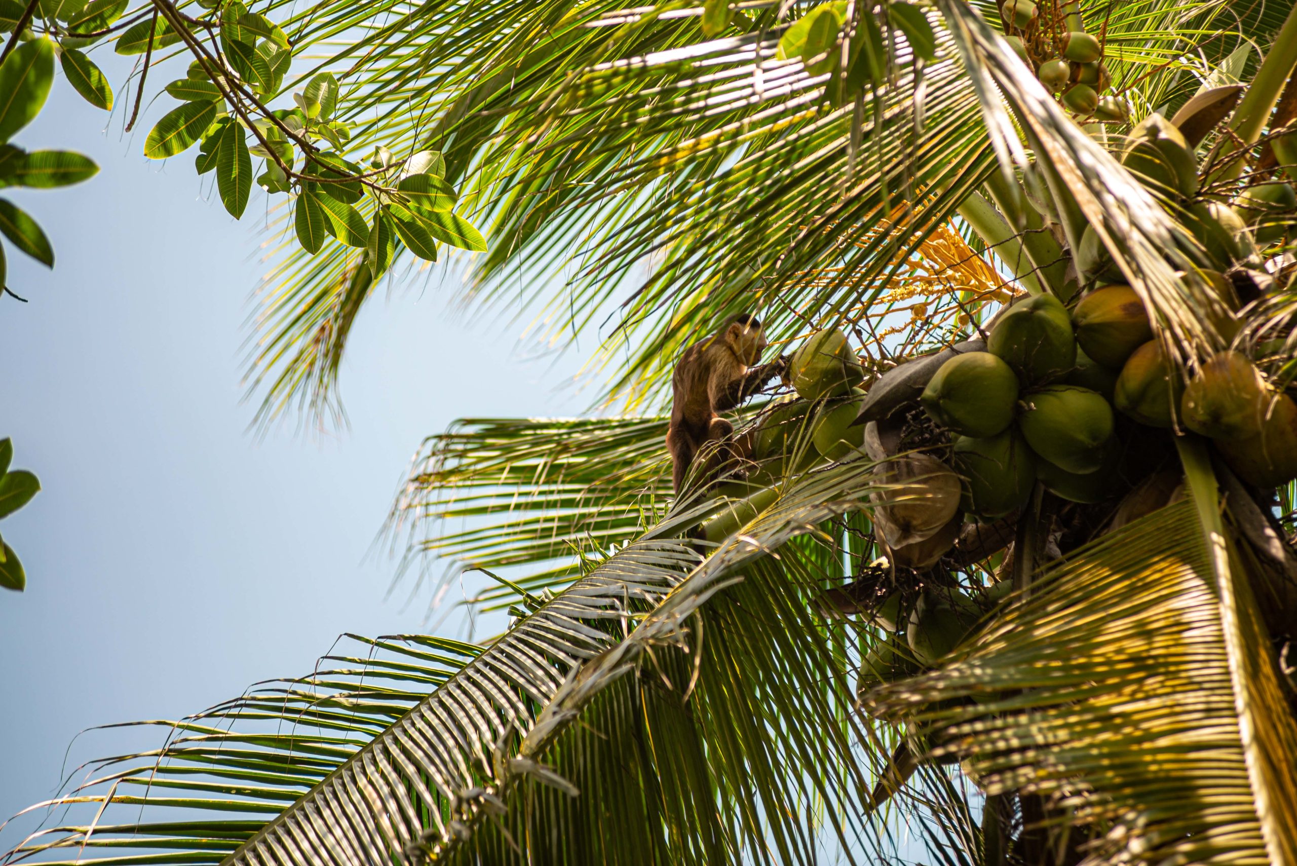 Tayrona National Parc Trois semaine en Colombie Blog Voyage