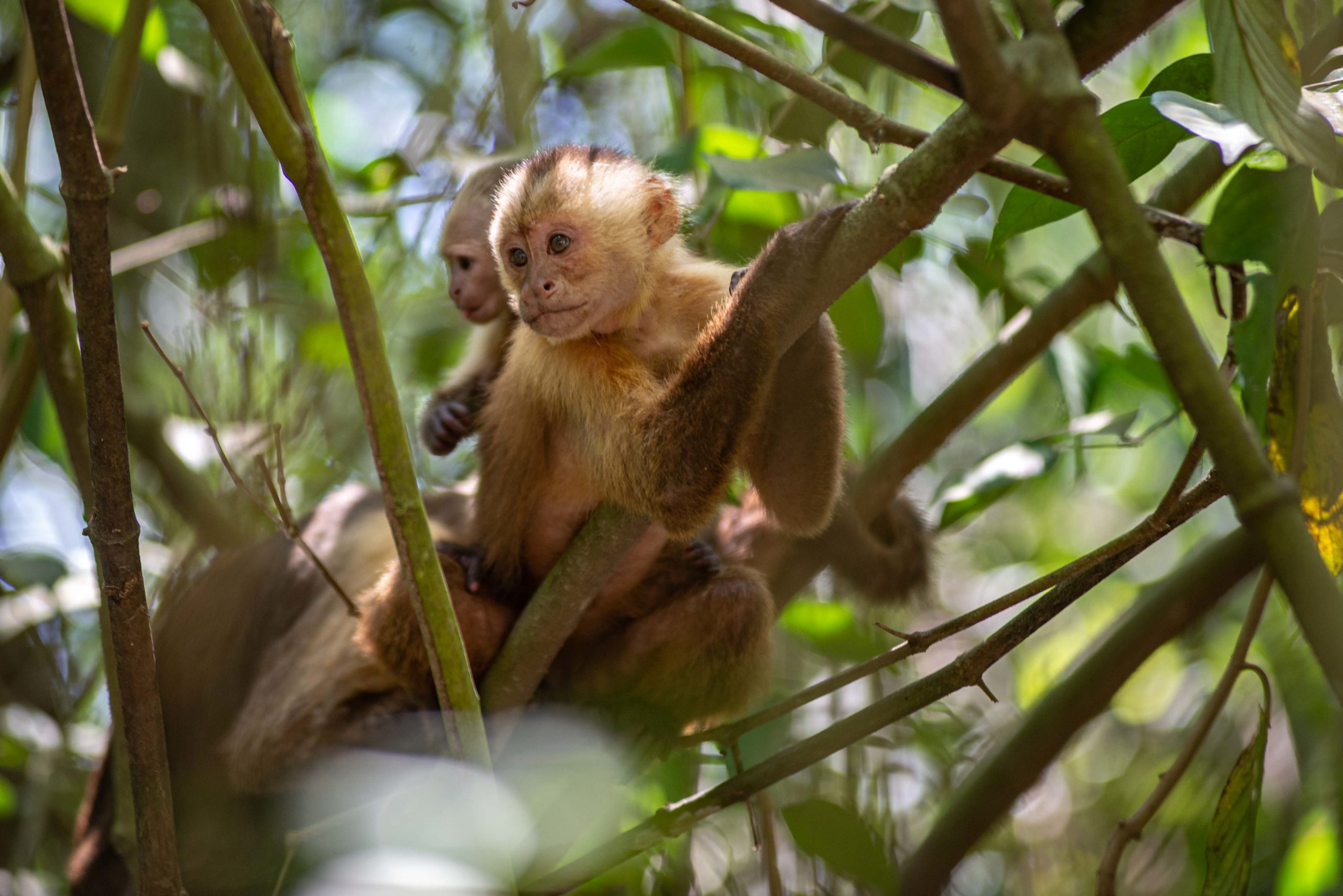 Tayrona National Parc Trois semaine en Colombie Blog Voyage
