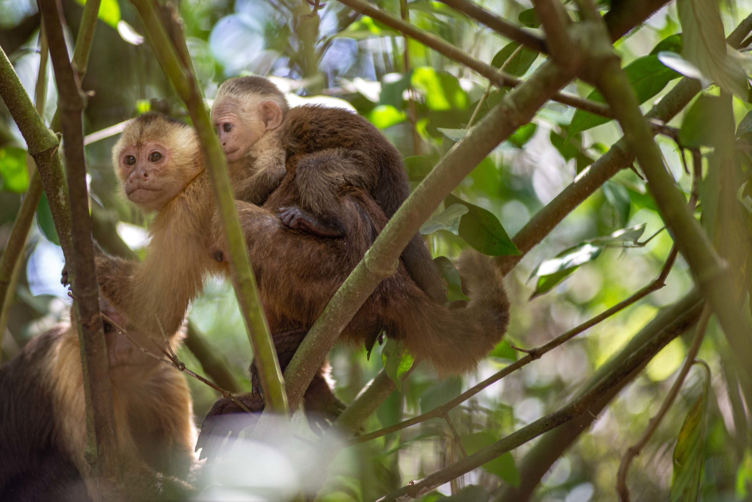 trois semaines en colombie blog voyage