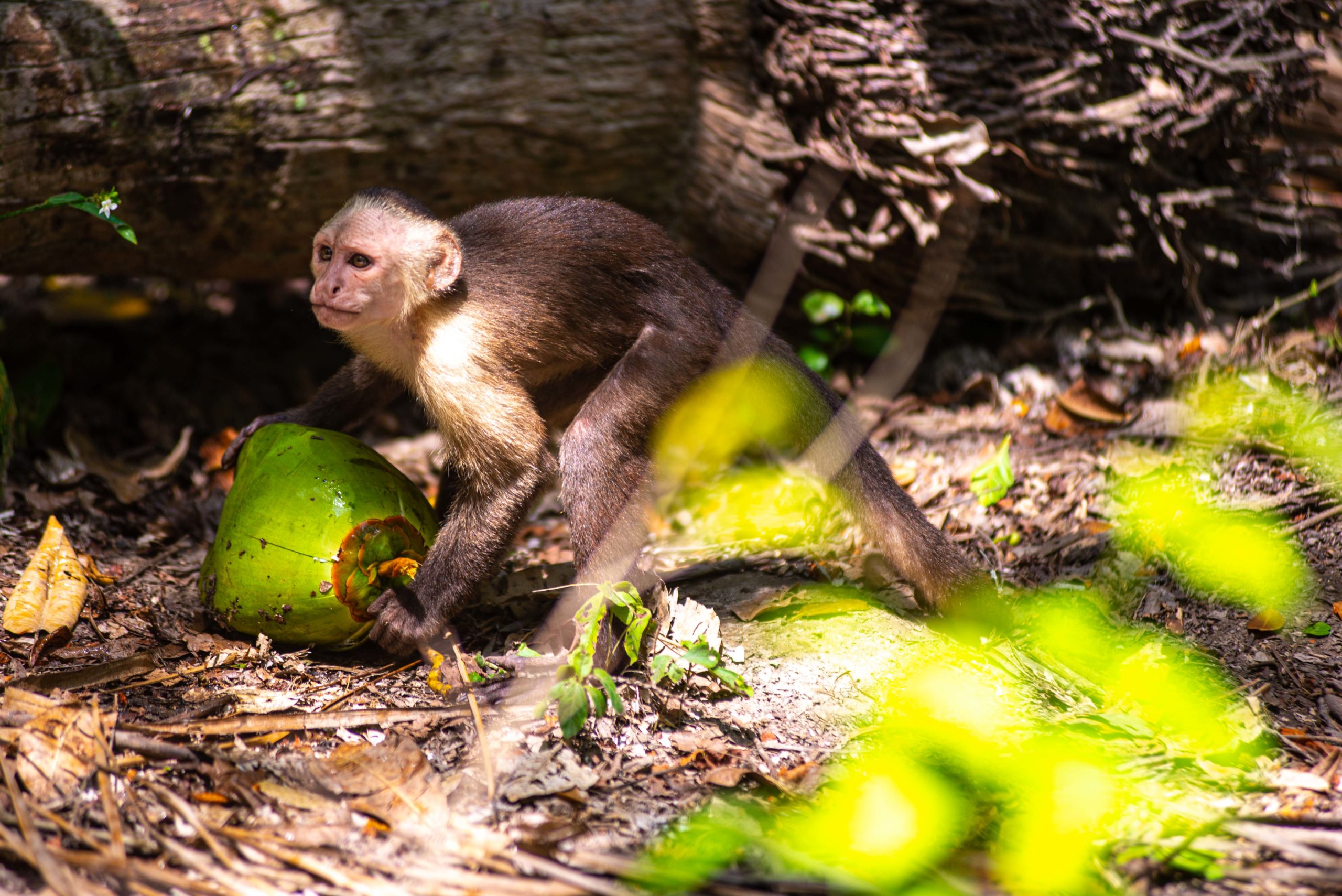 Tayrona National Parc Trois semaine en Colombie Blog Voyage
