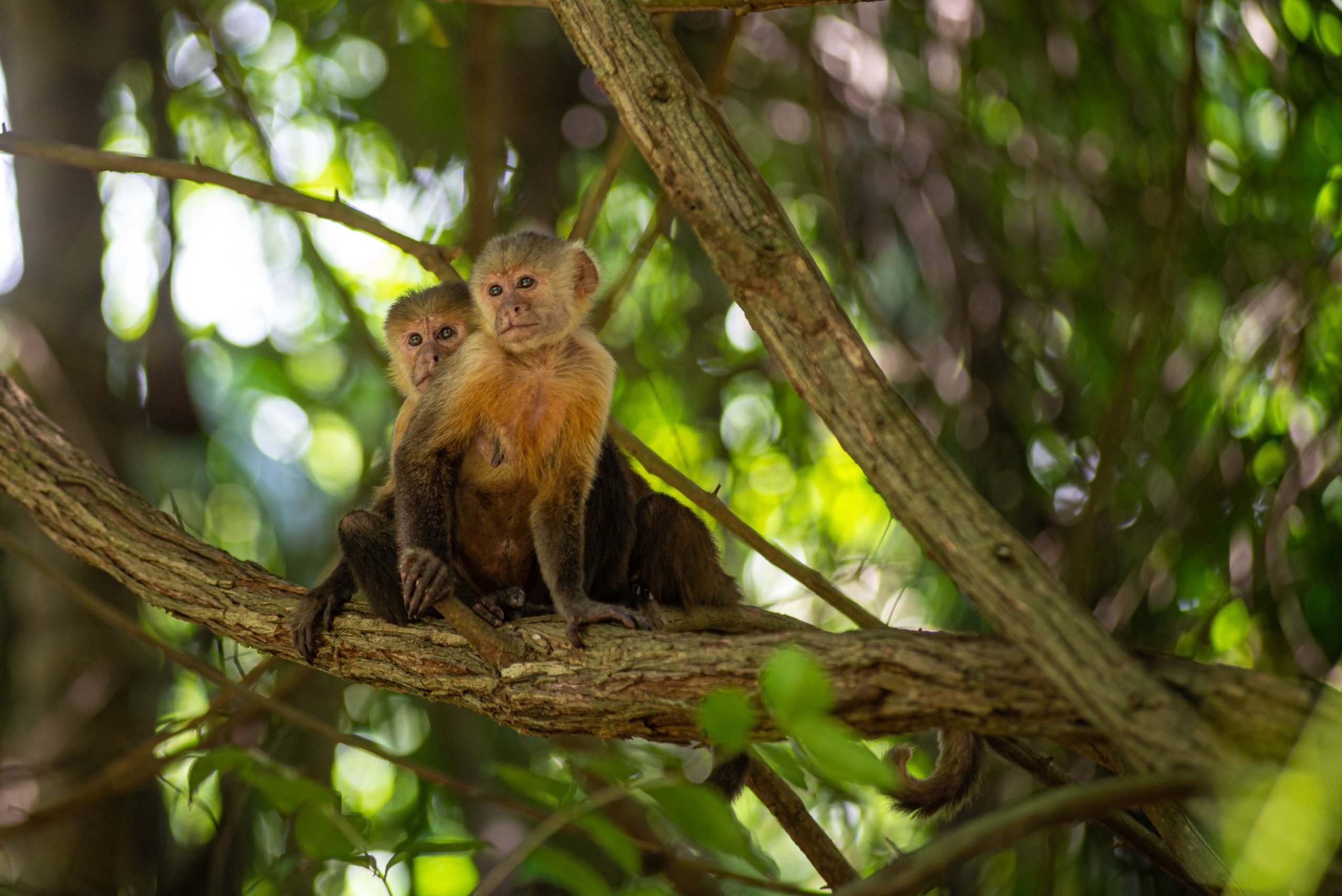 trois semaines en colombie blog voyage