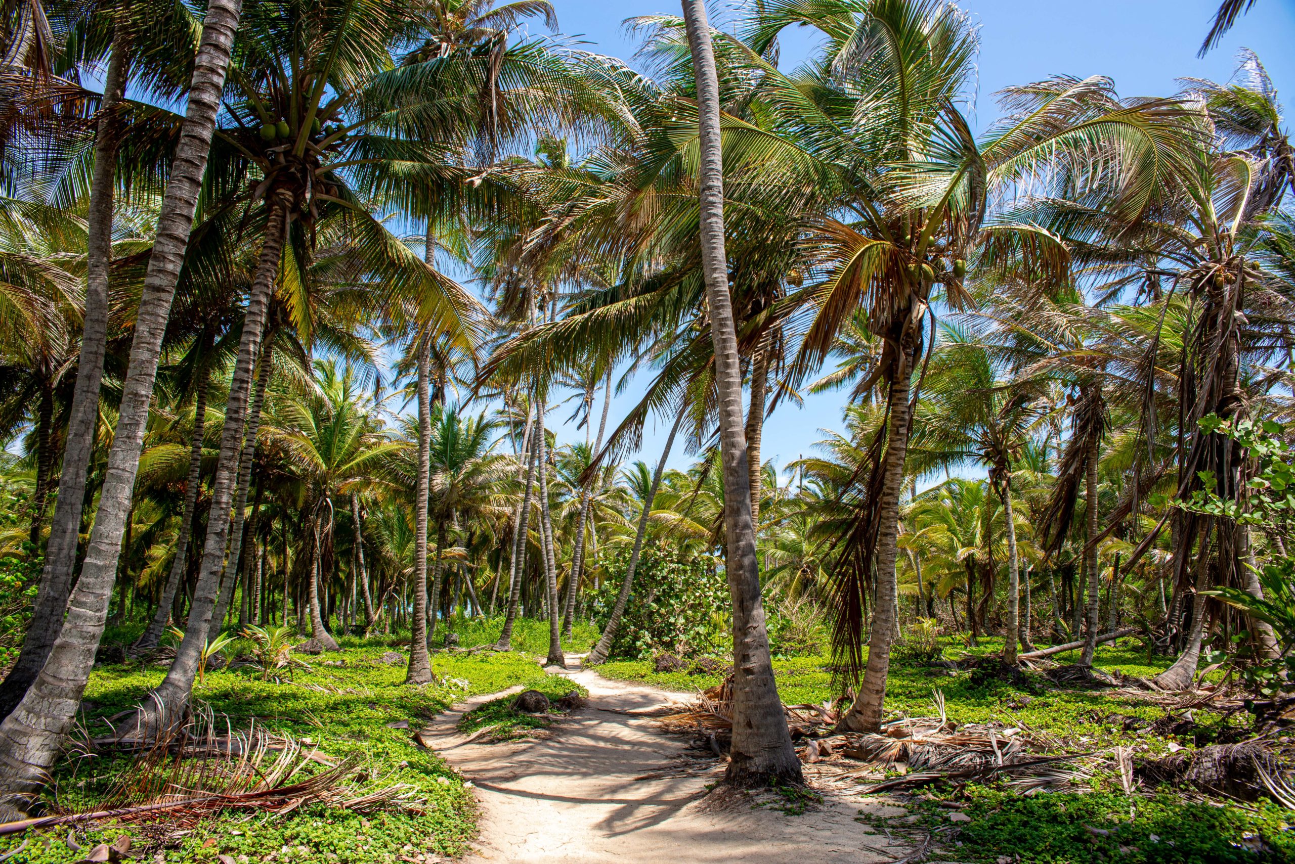 trois semaines en colombie blog voyage