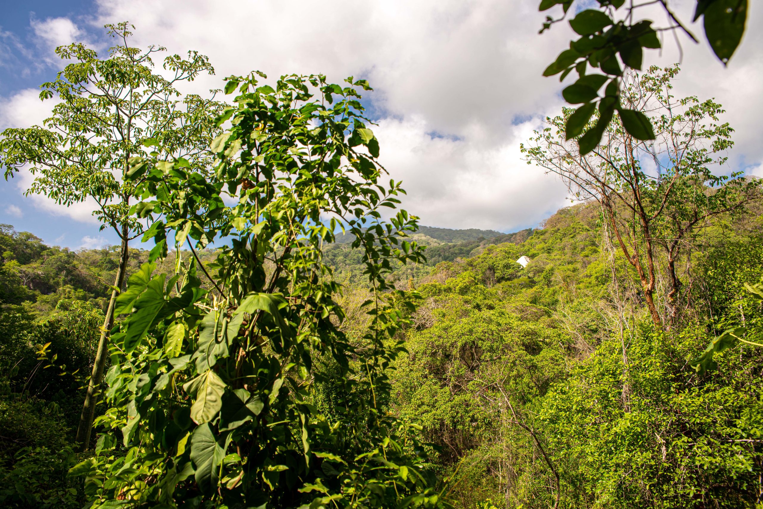 Tayrona National Parc Trois semaine en Colombie Blog Voyage-11