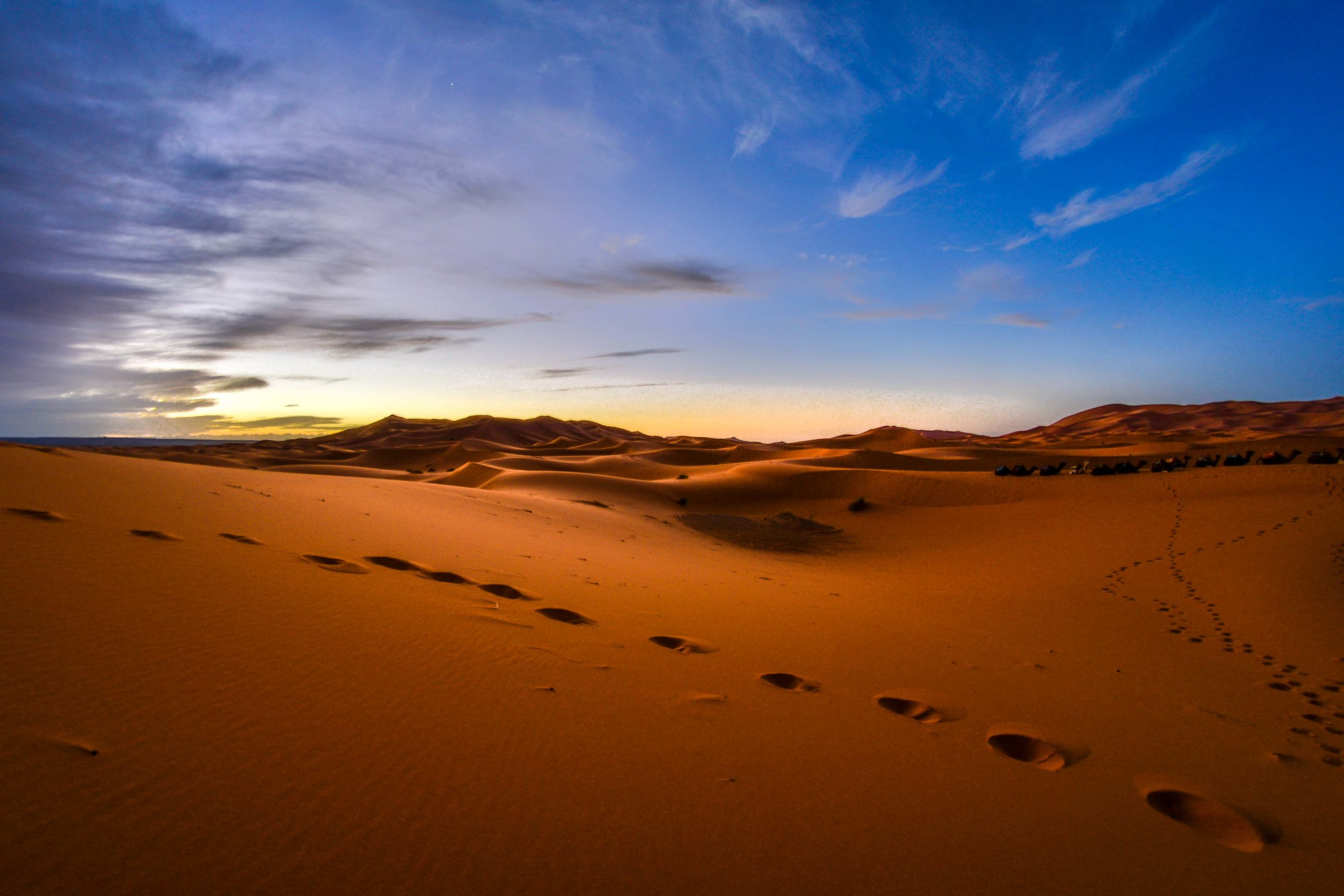 Désert du Sahara mergouza blog voyage