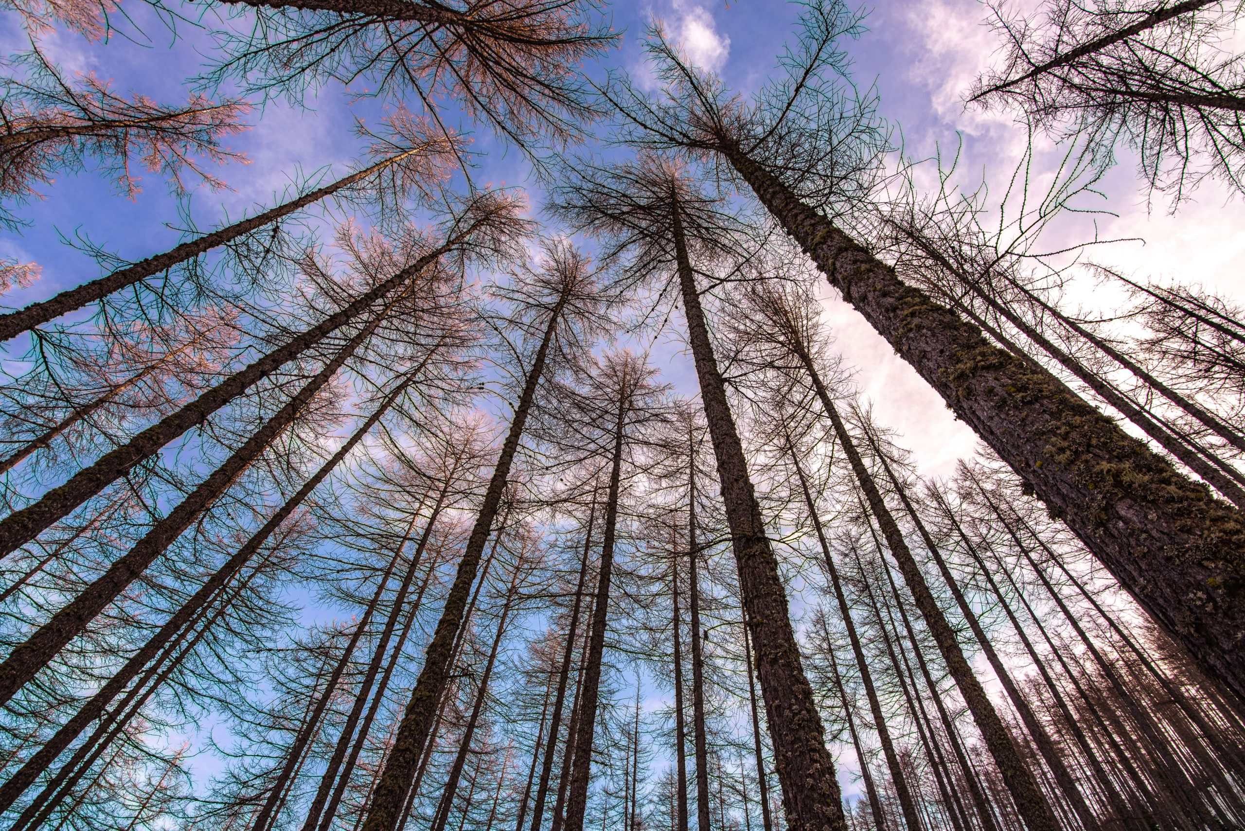 pourquoi il vous faut un objectif grand angle tutoriel photo blog voyage