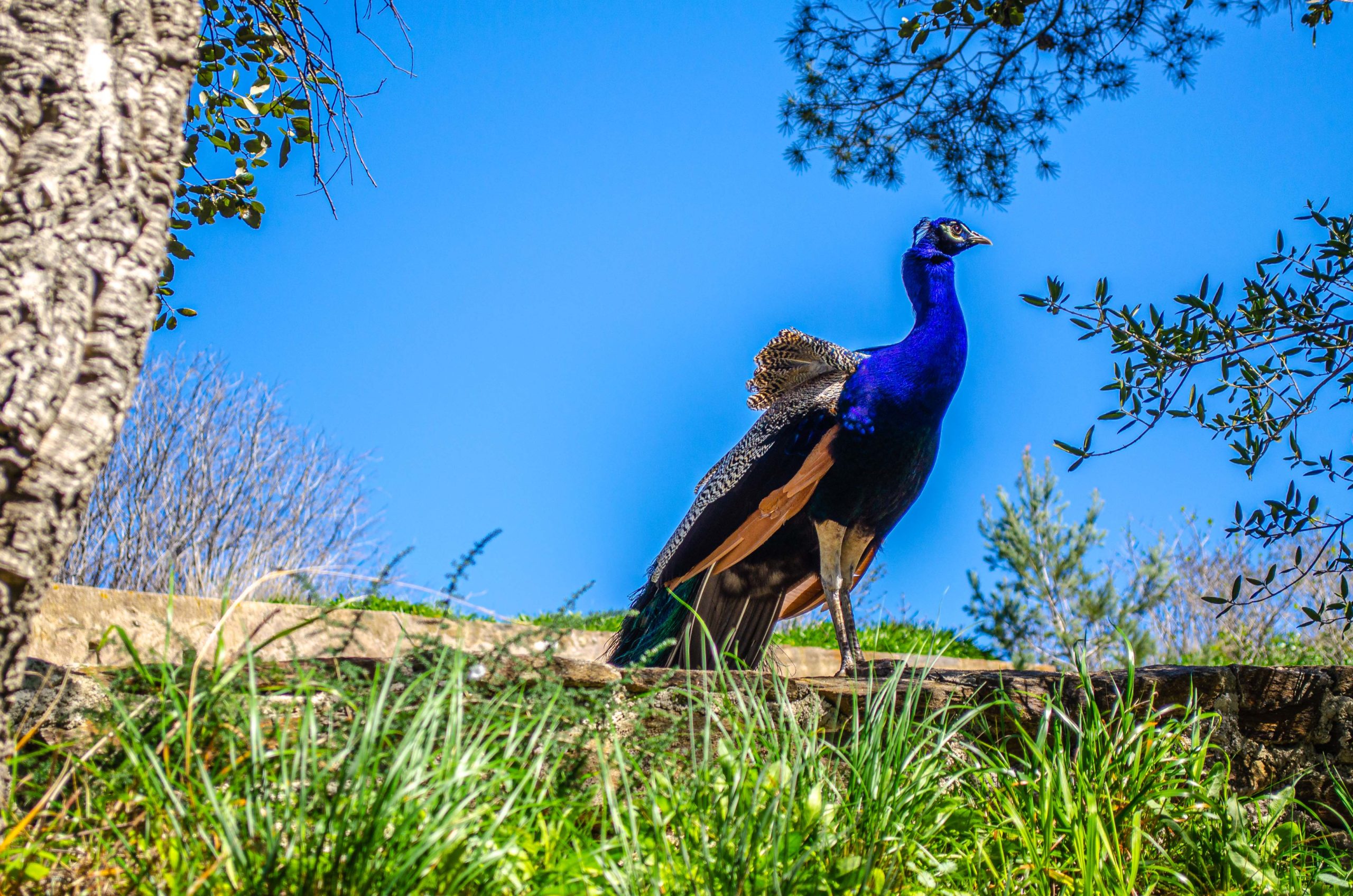 Provence Alpes Côte d'Azur Blog Voyage France