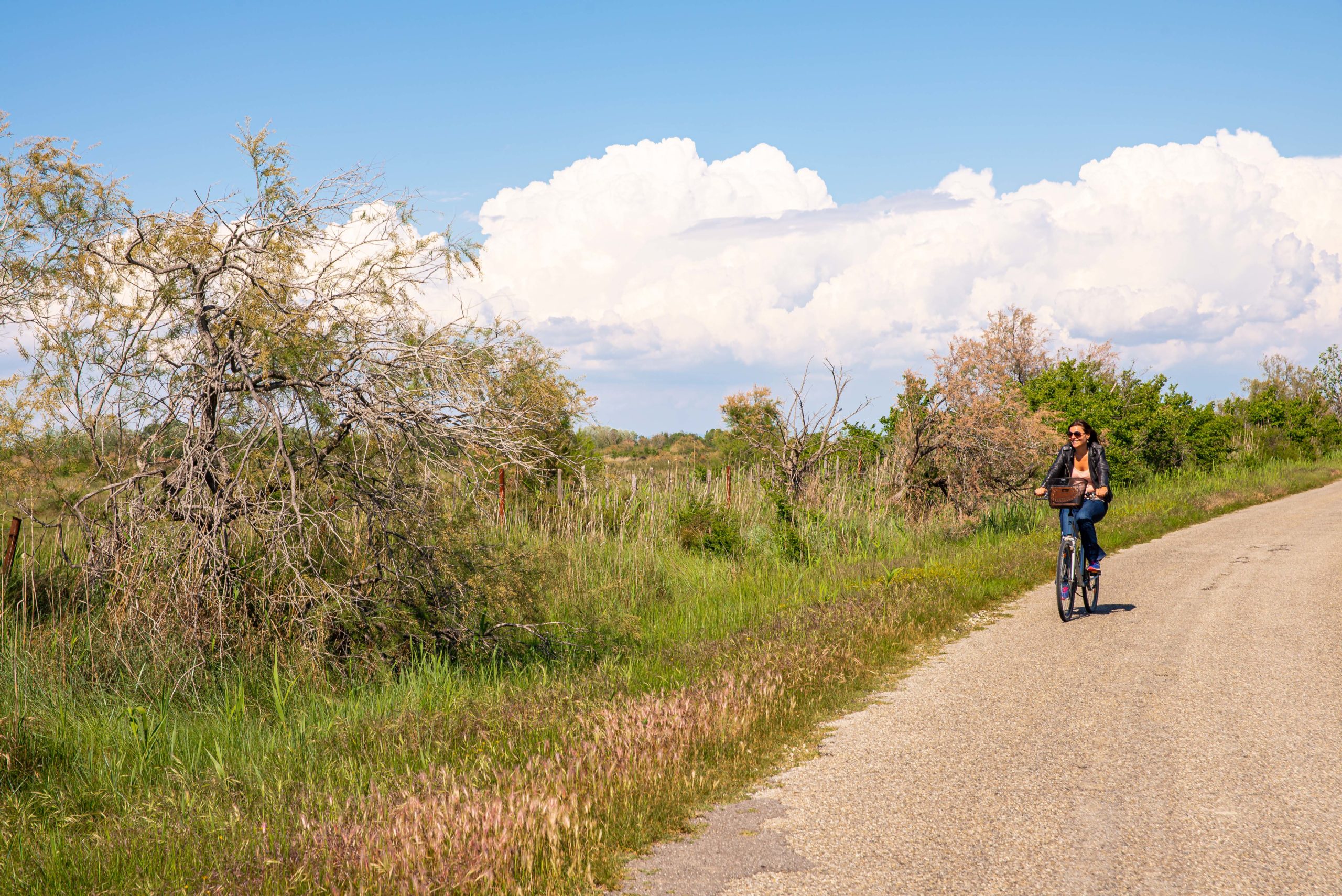 Balade à vélo Camargue Blog Voyage