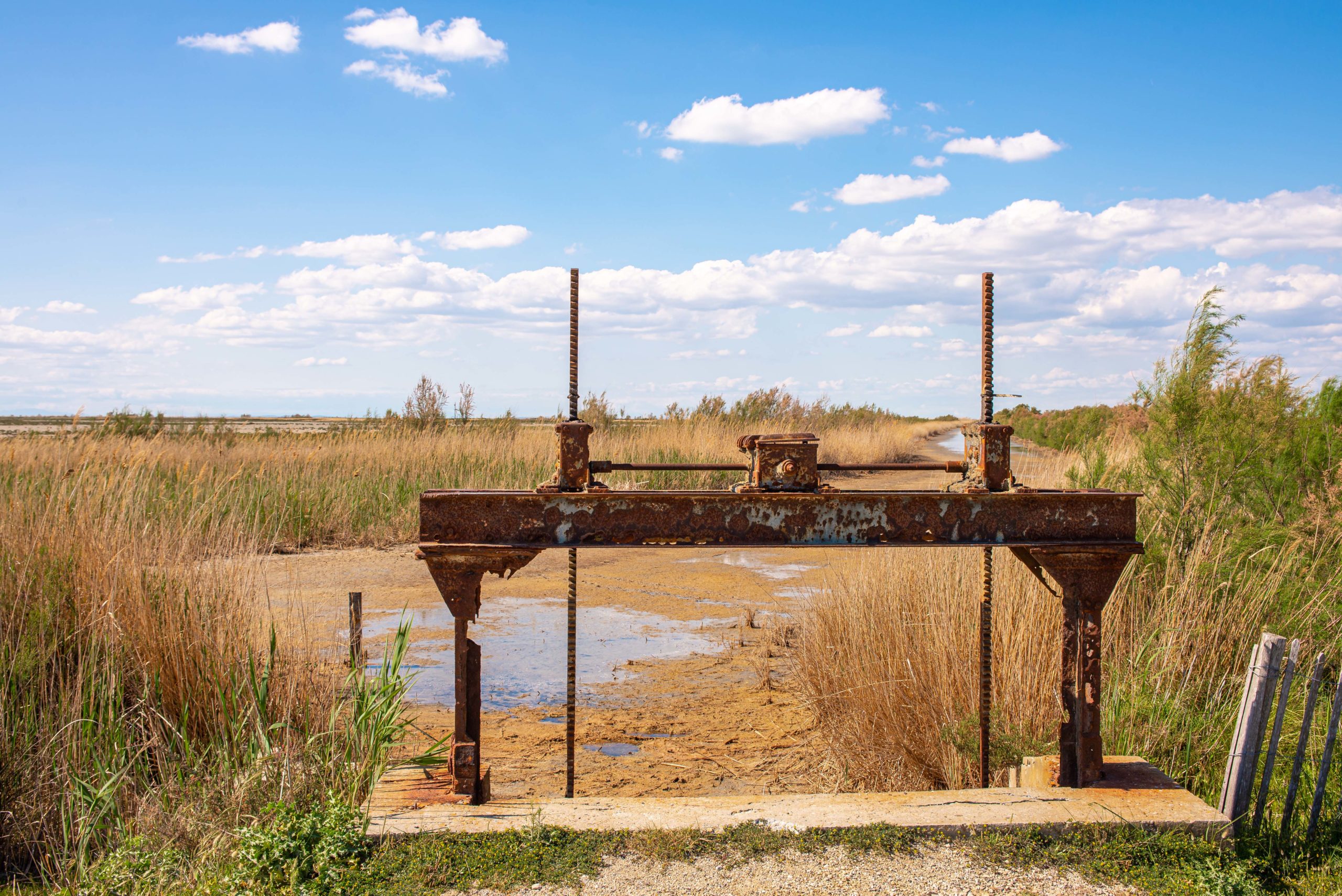 Balade à vélo Camargue Blog Voyage