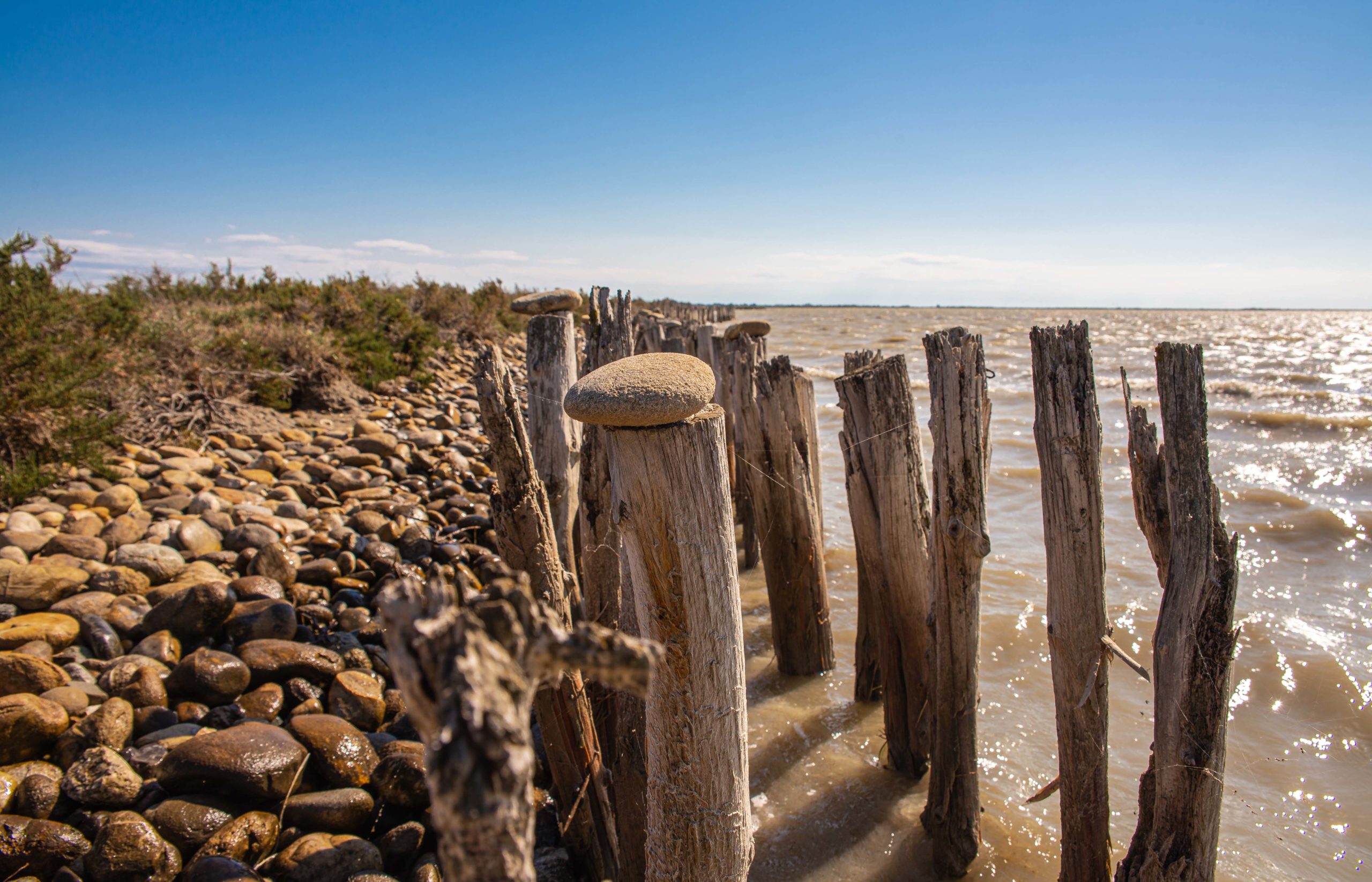 Balade à vélo Camargue Blog Voyage