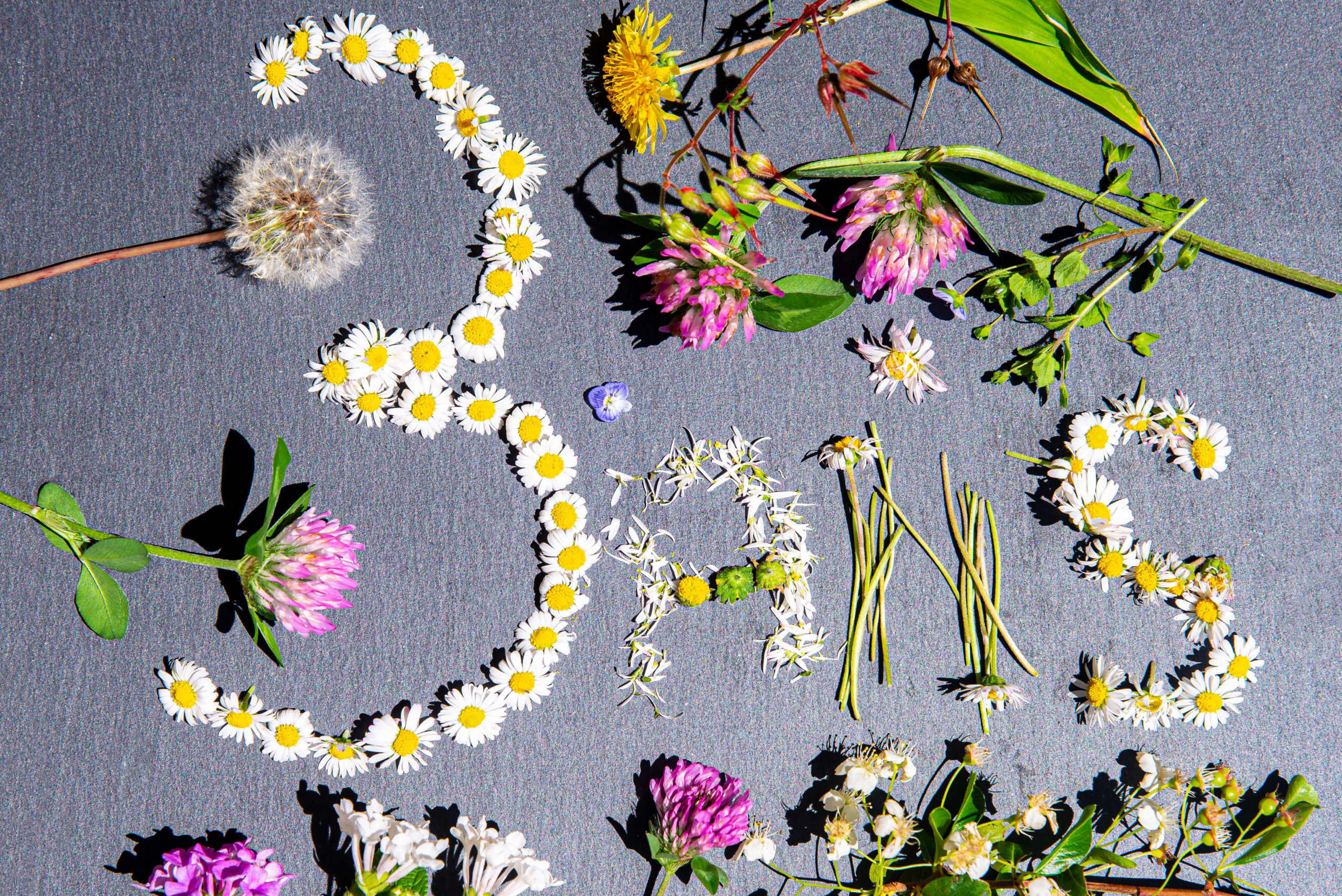 trois ans de blogging blog voyage icietlàbas