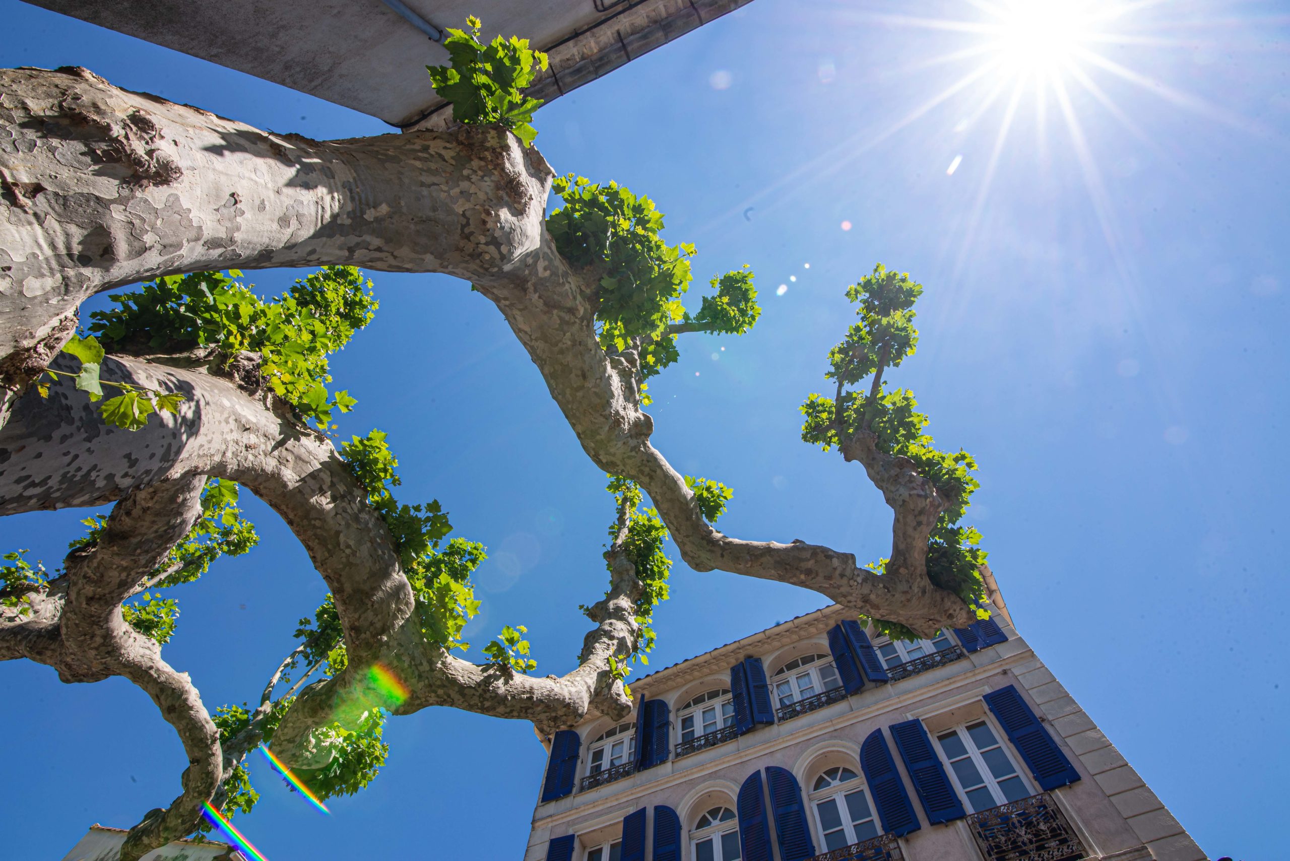 Collobrières département du Var Provence Alpes Côte d'Azur Paca blog voyage