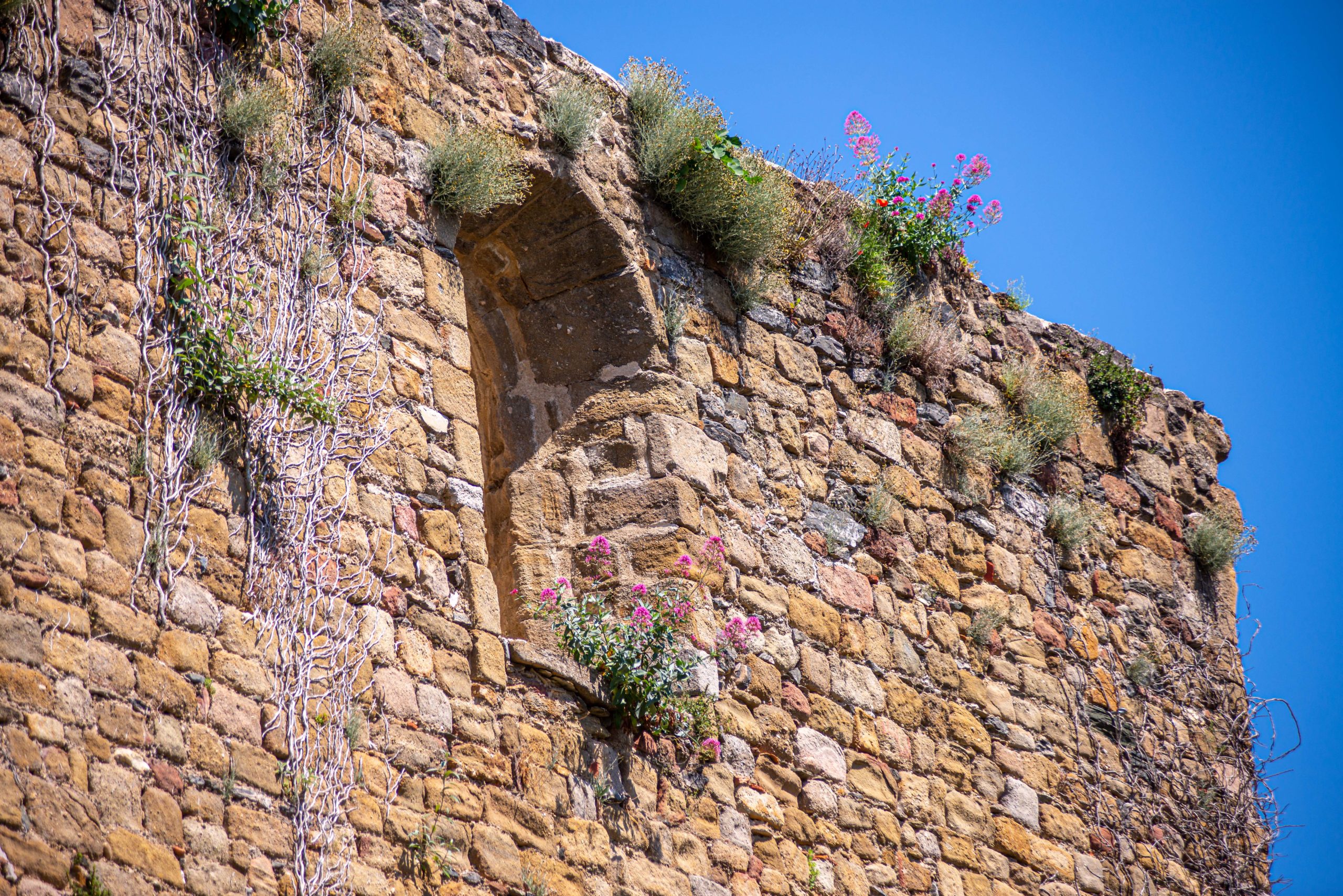 Collobrières département du Var Provence Alpes Côte d'Azur Paca blog voyage-27