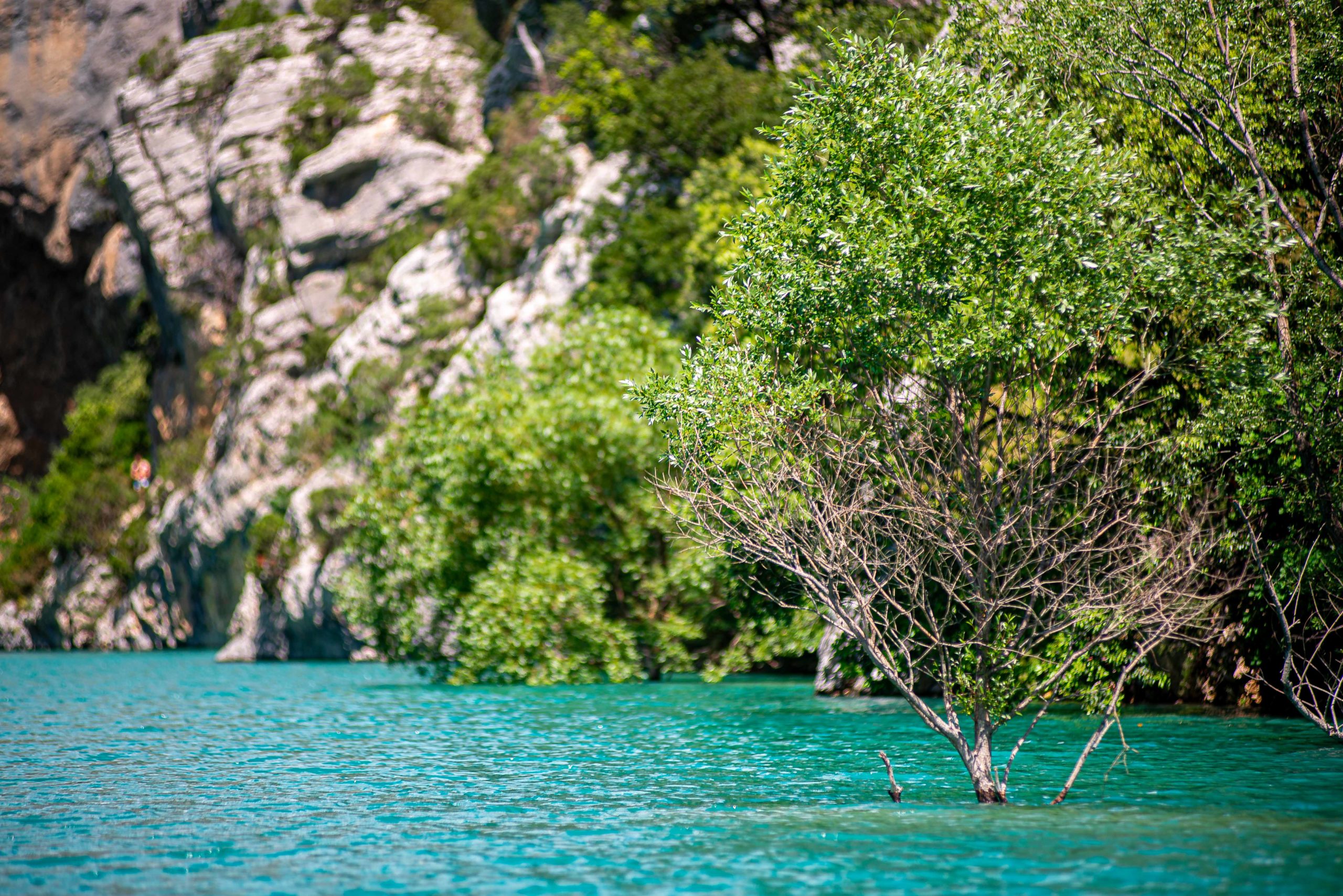 département du Var Alpes-de-Haute-Provence Provence Alpes Côte d'Azur Paca blog voyage