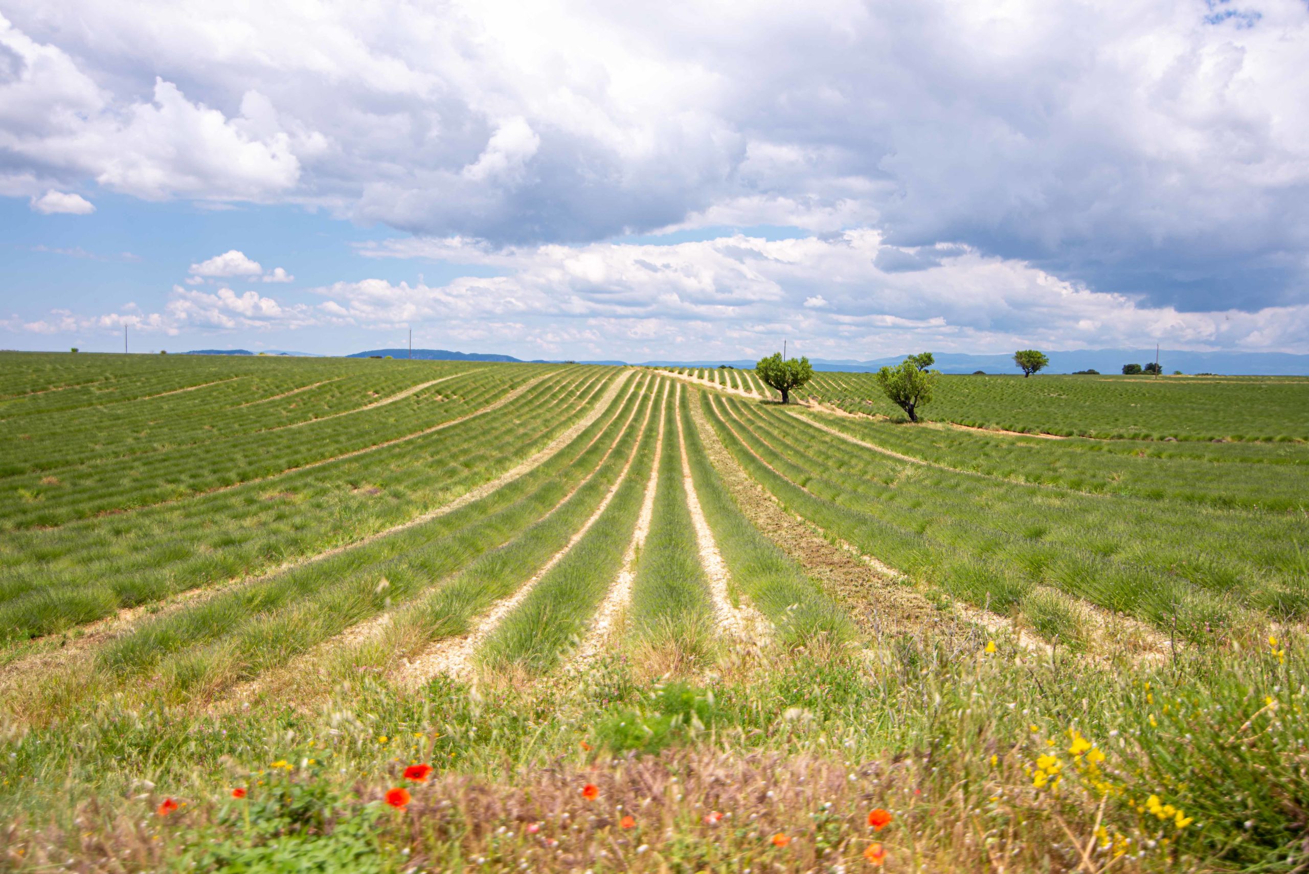Alpes-de-Haute-Provence sur la route et premières découvertes blog voyage