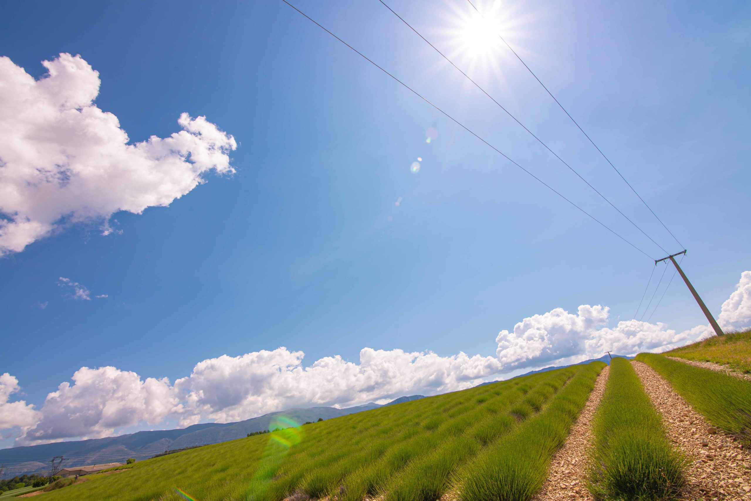 Alpes-de-Haute-Provence sur la route et premières découvertes blog voyage