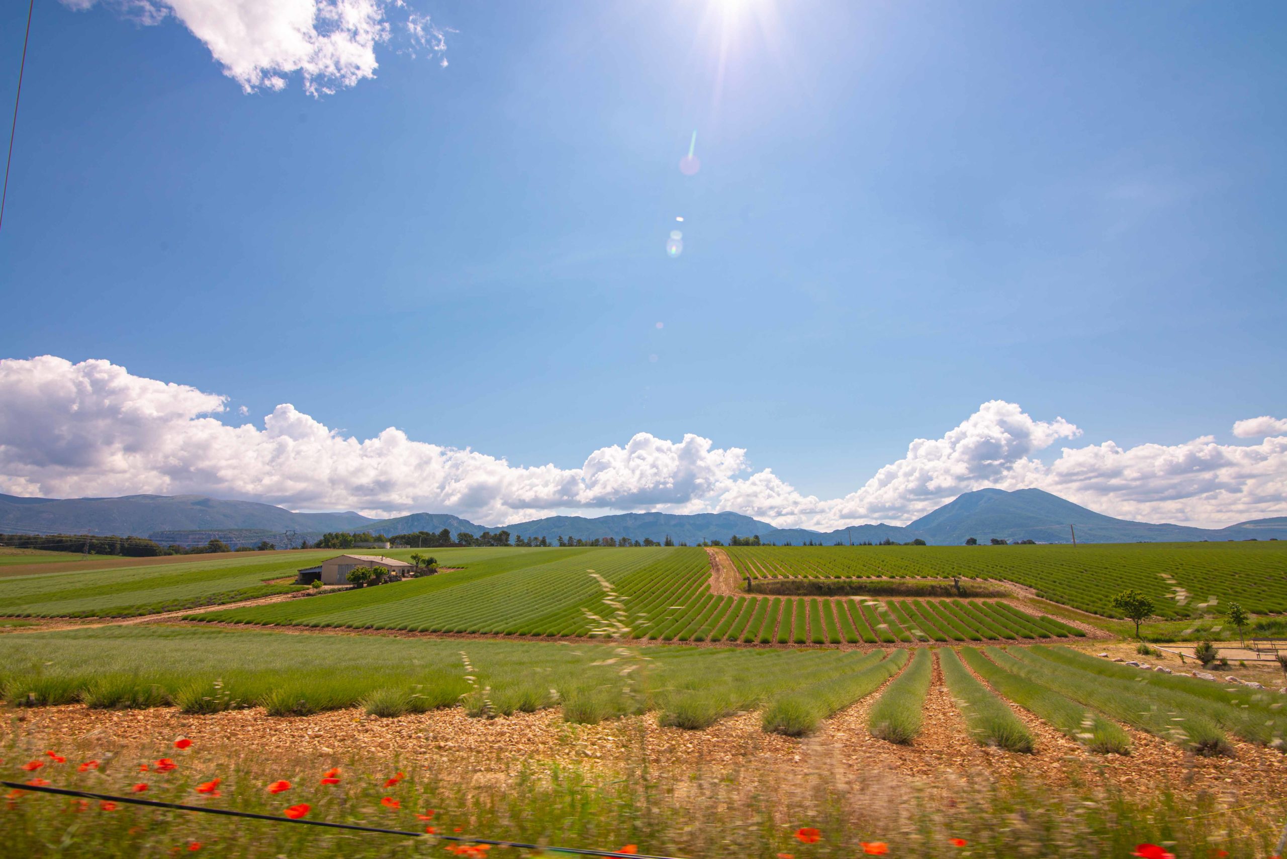 Alpes-de-Haute-Provence sur la route et premières découvertes blog voyage