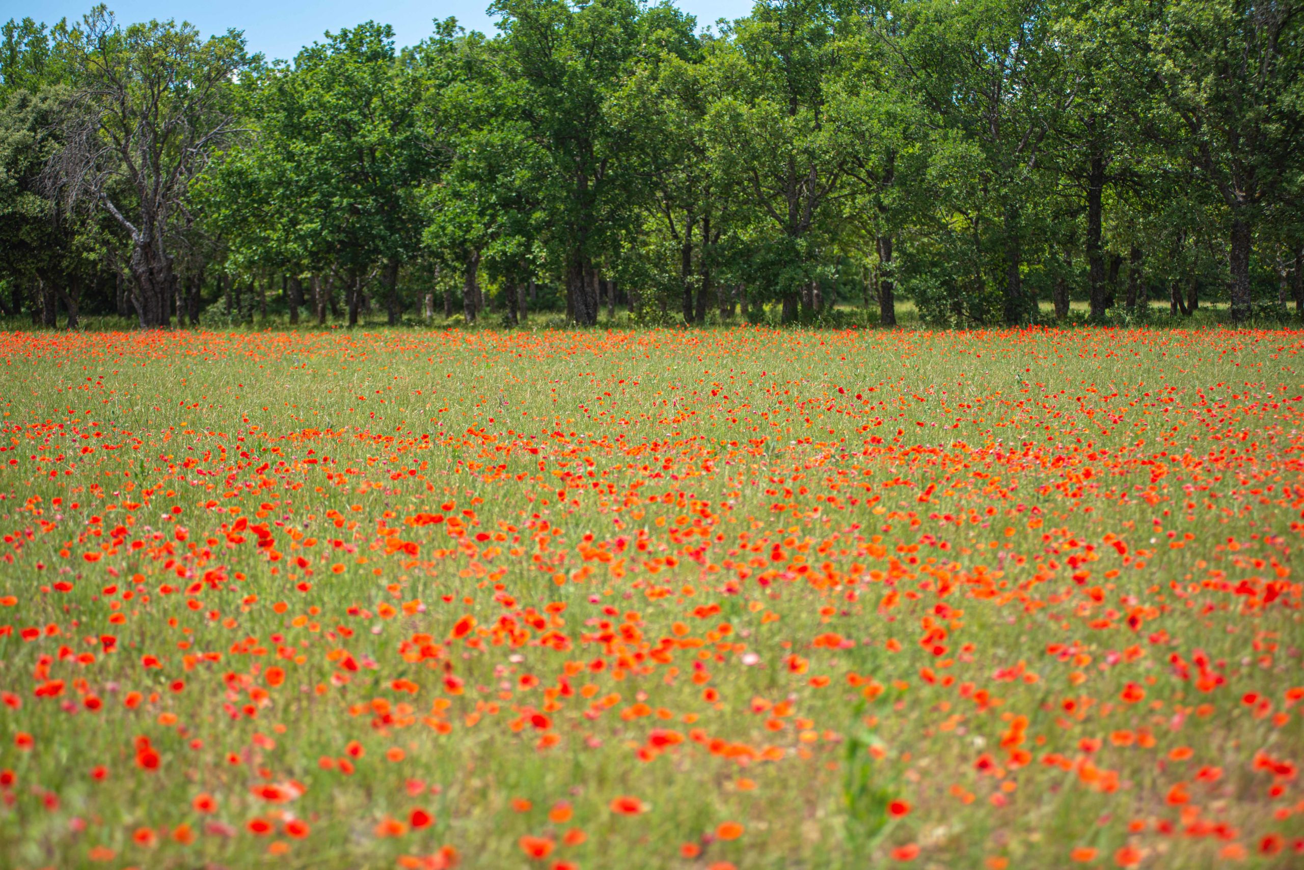 sur la route et premières découvertes blog voyage