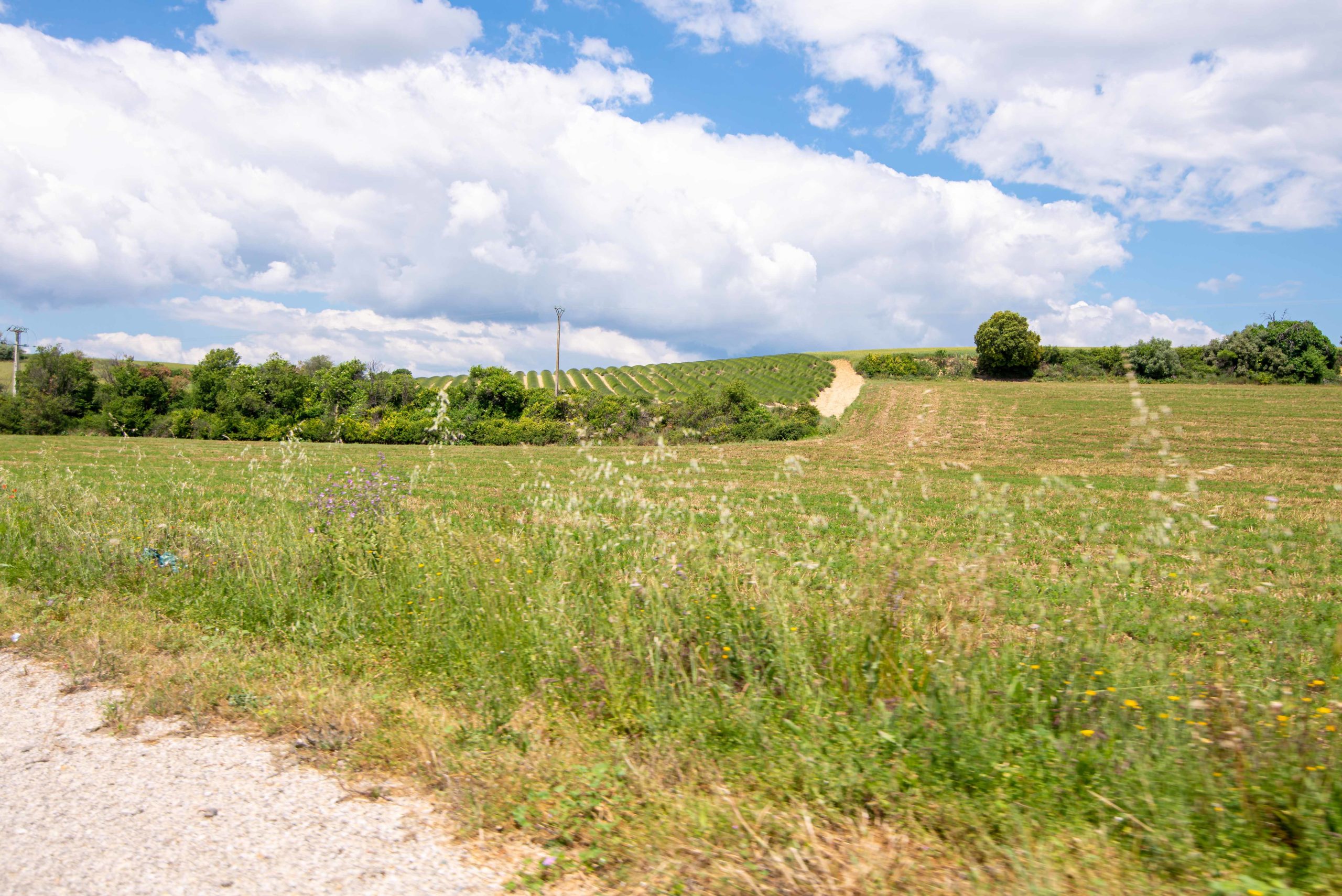 sur la route et premières découvertes blog voyage