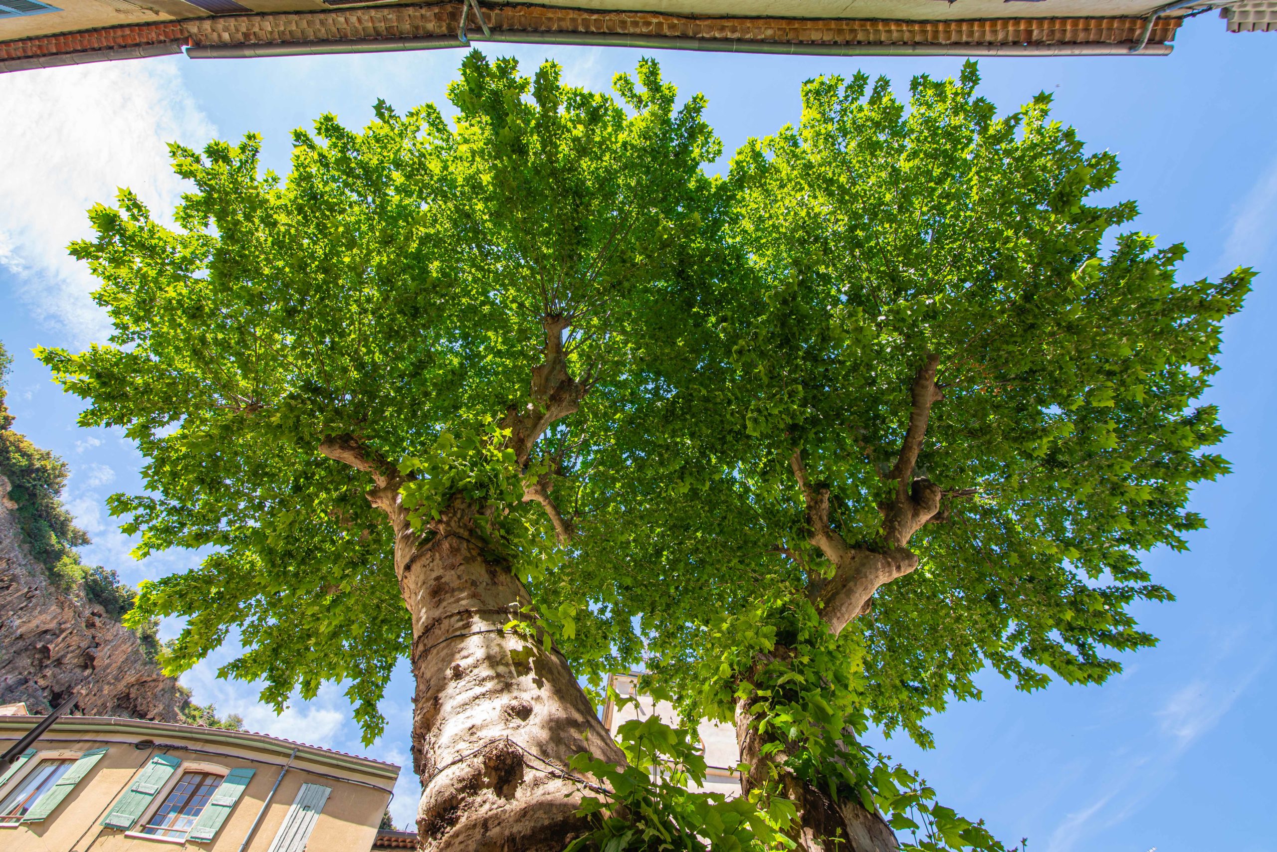 Cotignac département du Var 83 que faire en provence alpes côte d'azur blog voyage